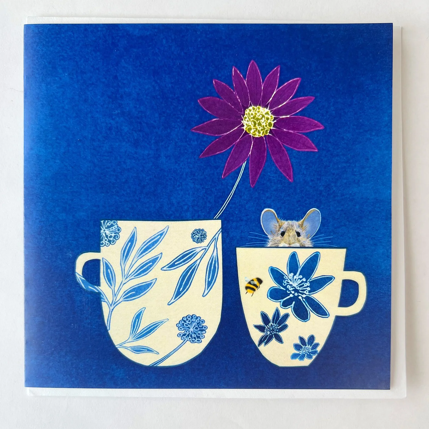 Teacup Surprise