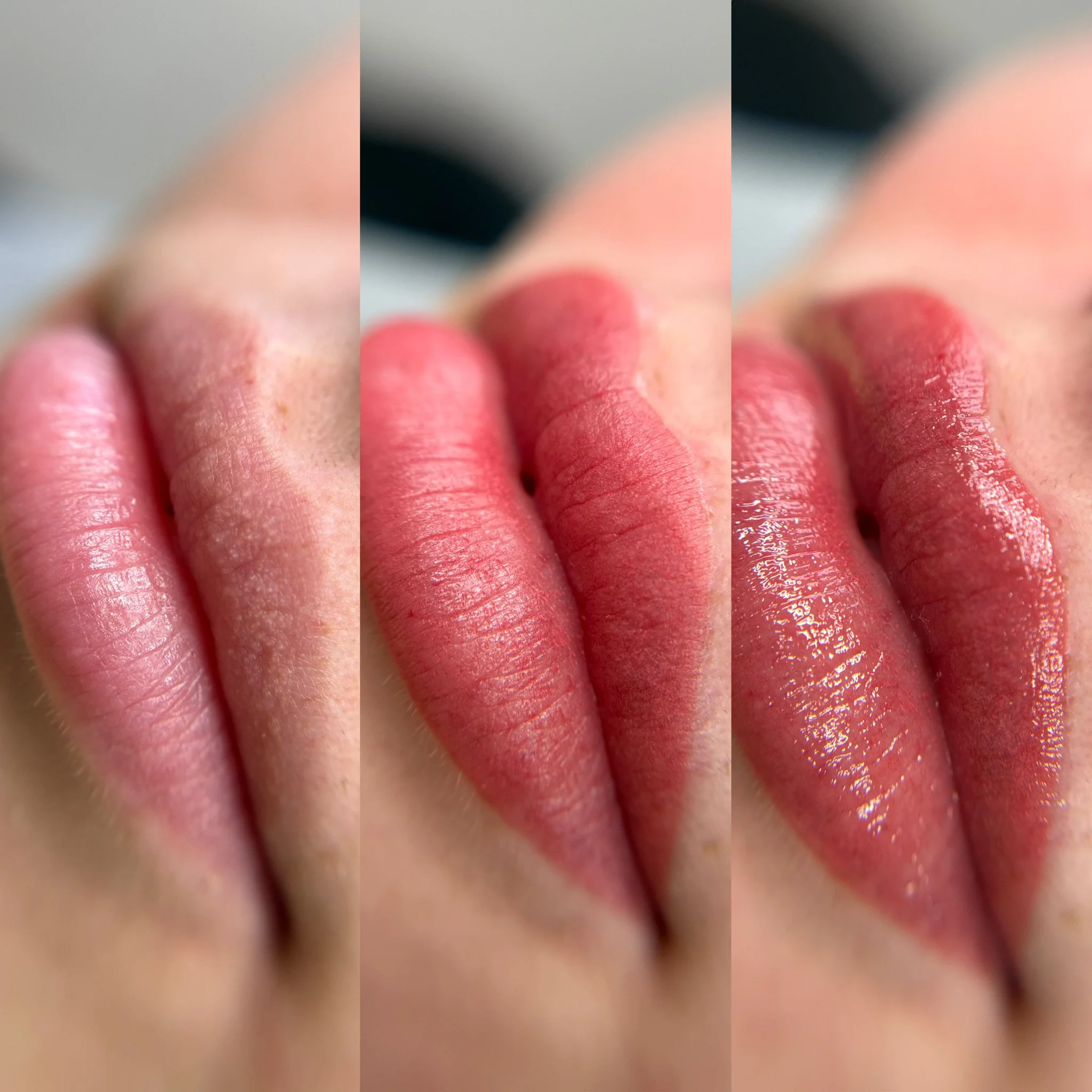 Close-up of lips showing different lipstick finishes, from matte to glossy.