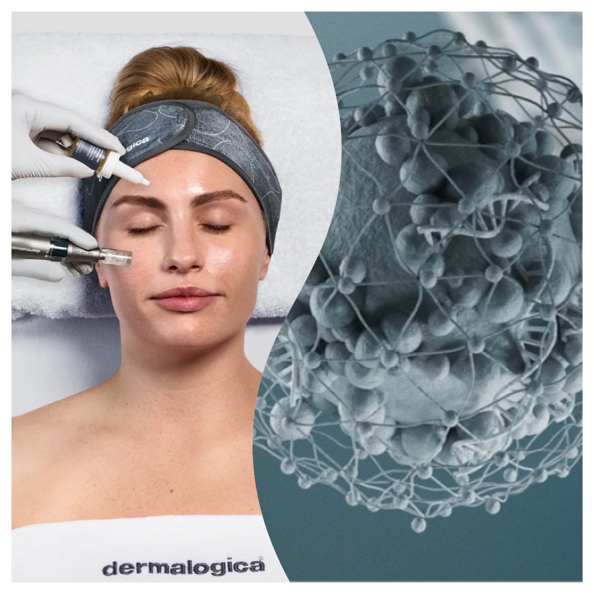Exosomes in Skincare: The Future of Skin Regeneration
