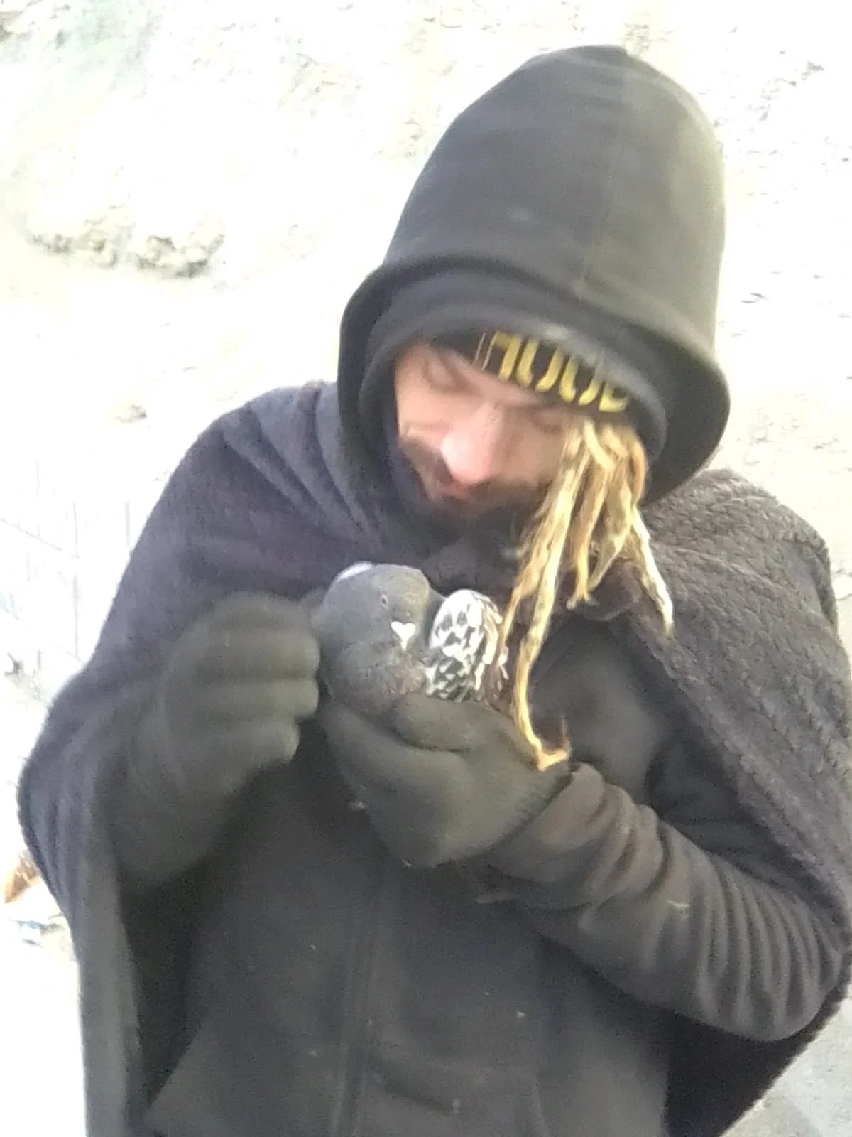 A person with dreadlocks and a beard holding a small pigeon, wearing a black hoodie and gloves, outdoors.