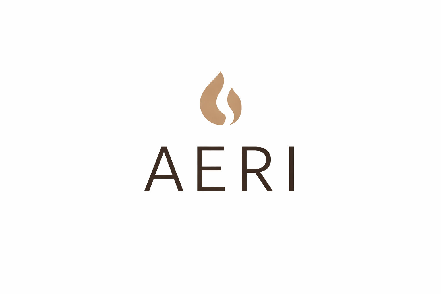 Logo with a stylized brown flame above the word 'AĒRI' in dark gray letters on a white background.