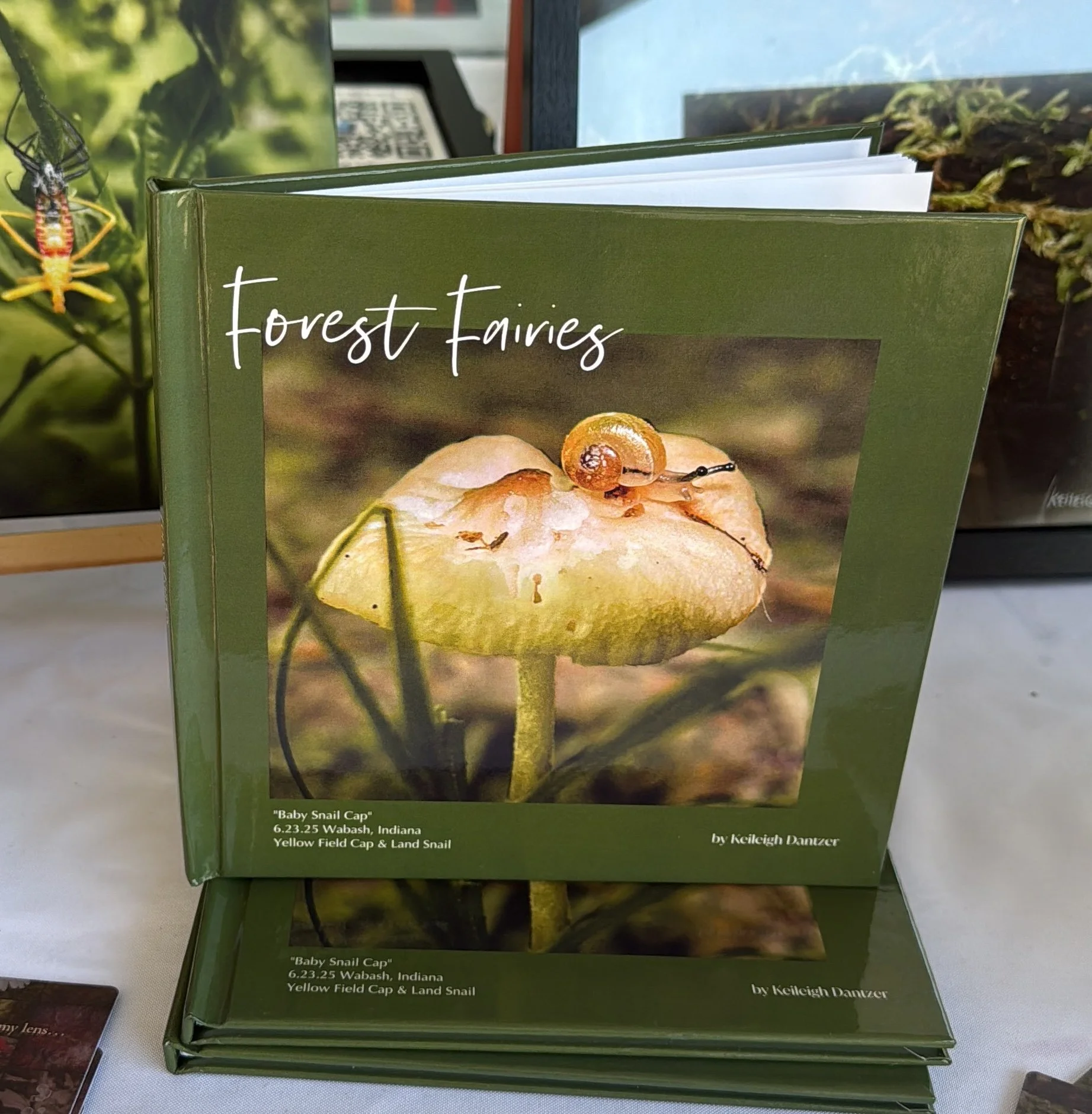 Book - Forest Fairies