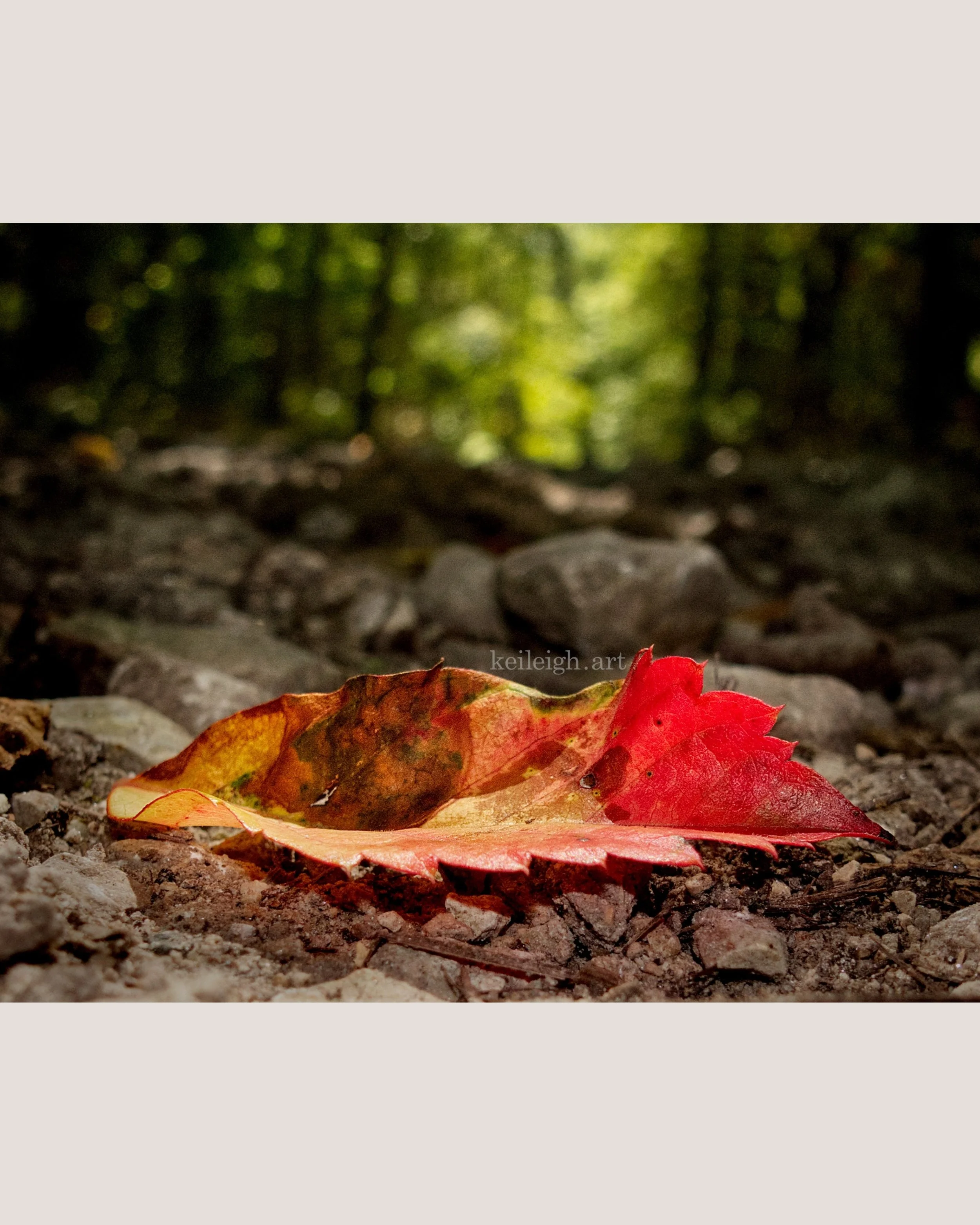 "Autumn"