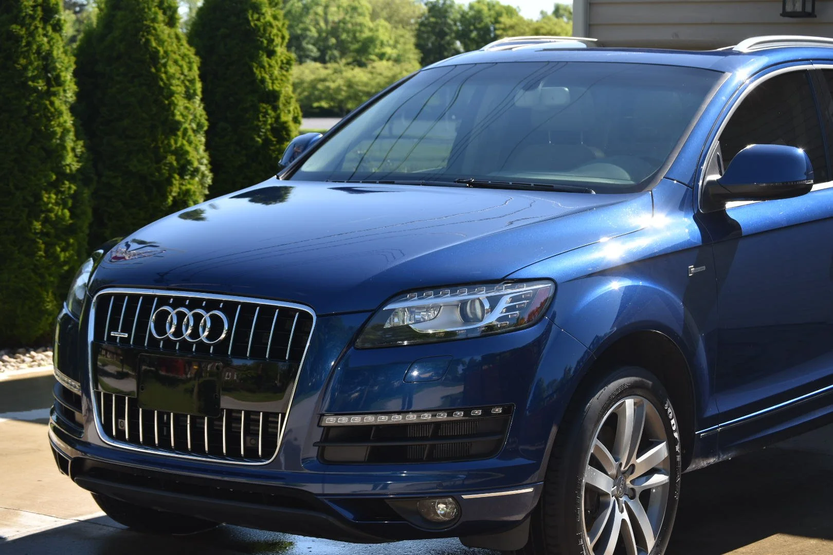A shiny blue Audi SUV parked outdoors with green trees and bushes in the background.