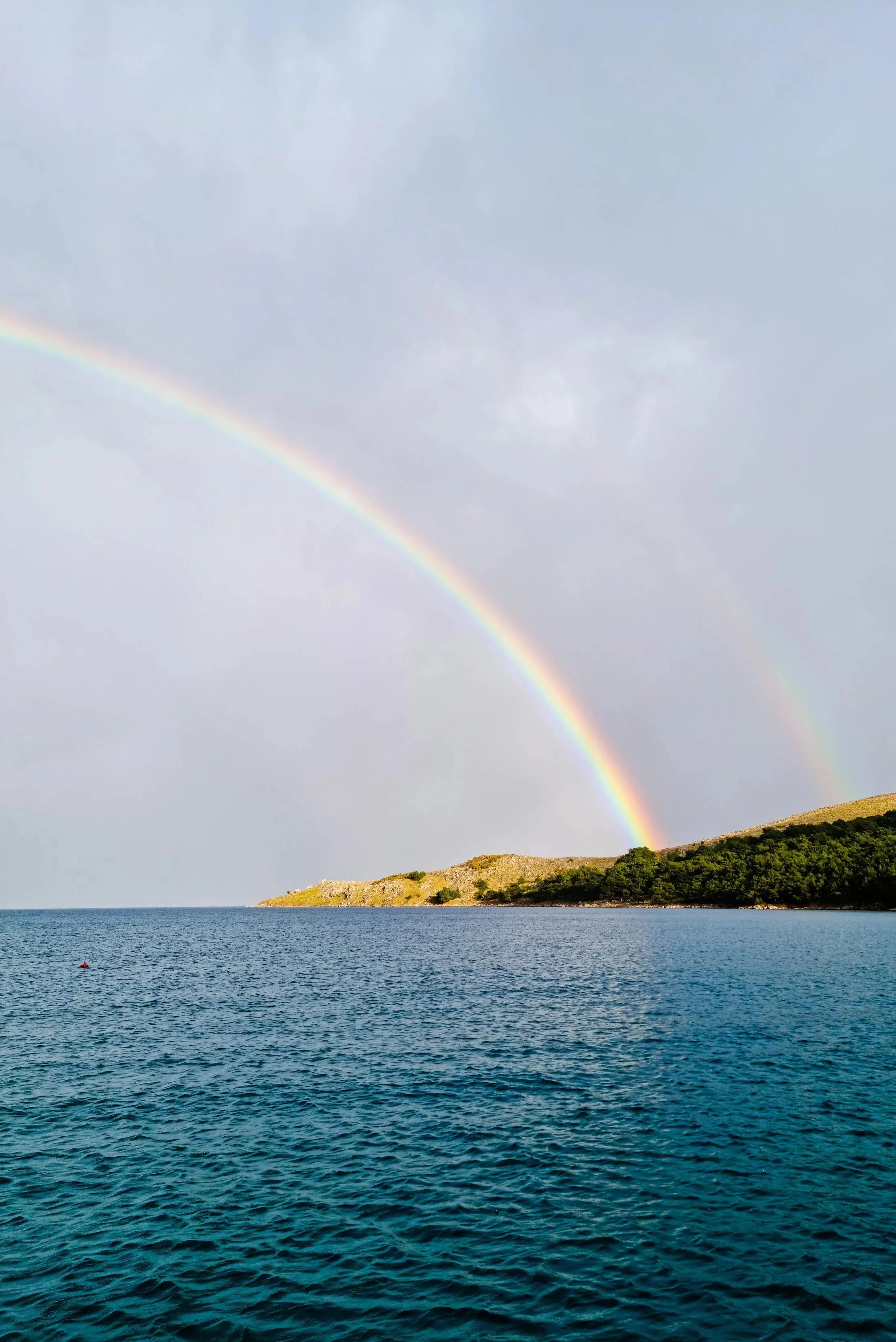  Harmony & Healing •  Feel a lightness in how you relate with yourself and others, 