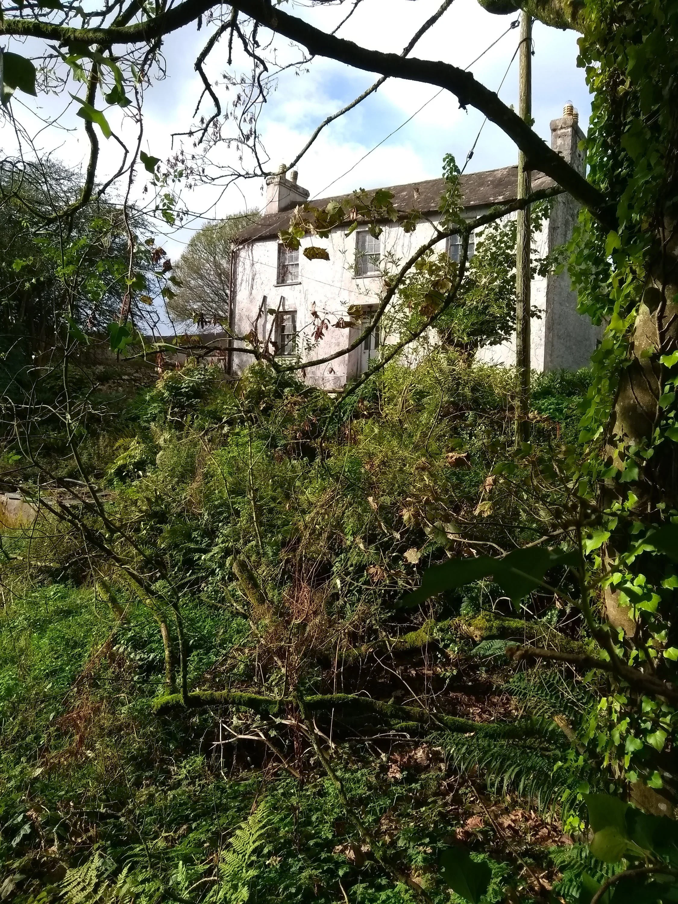 Escape_to_Pembrokeshire_Renovation_007.jpg