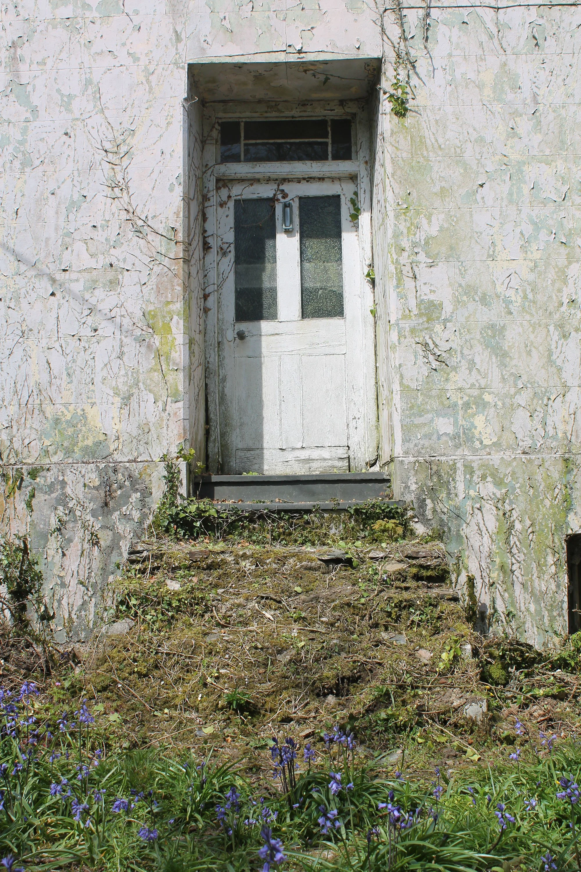 Escape_to_Pembrokeshire_Renovation_011.jpg
