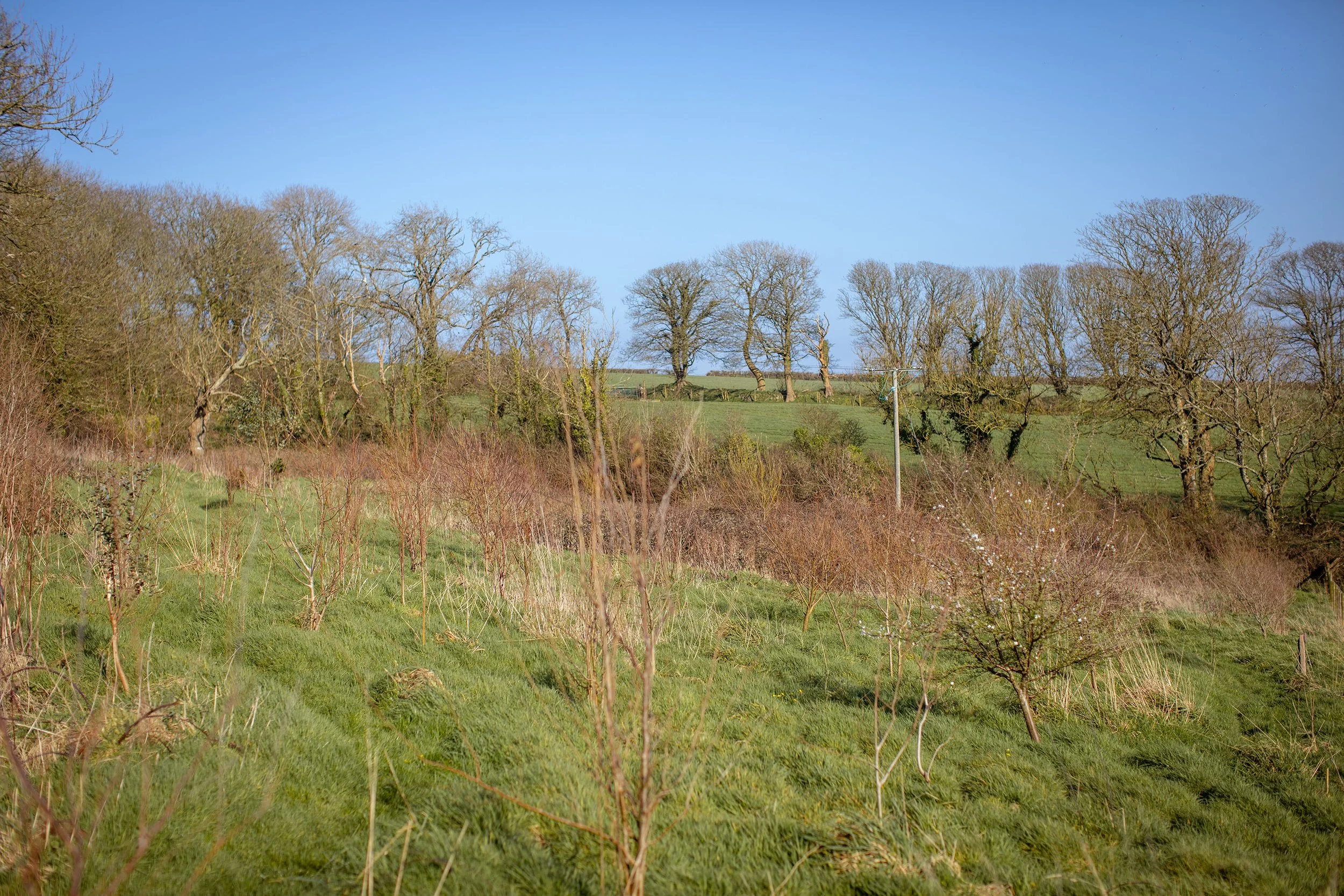 Hen Ffermdy Escape to Pembrokeshire B&B Our Land