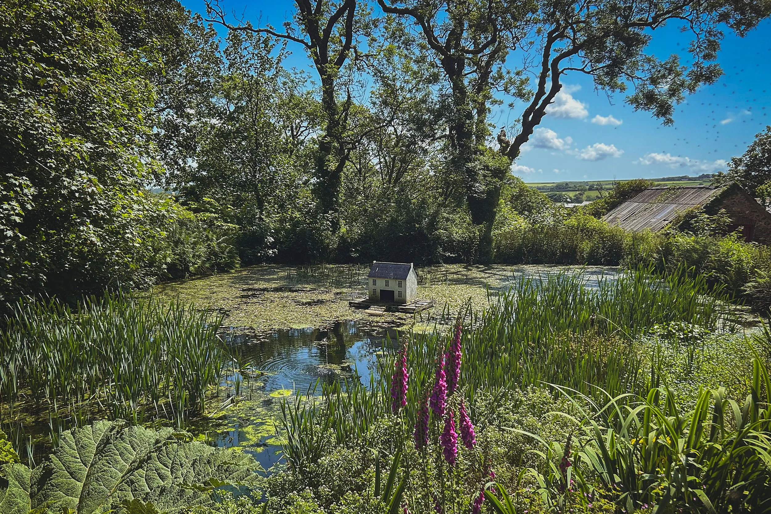 The Pond at Hen Ffermdy Escape to Pembrokeshire B&B