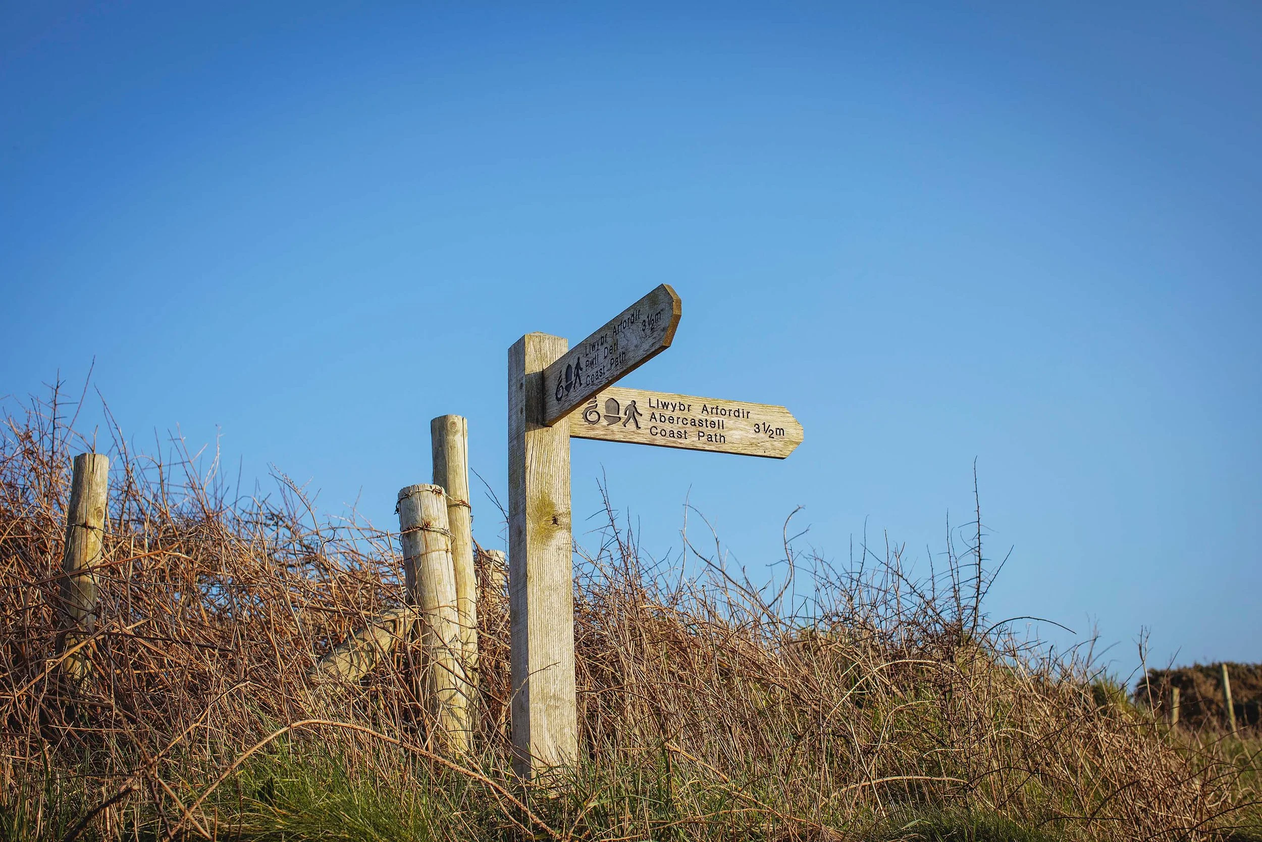 Pembrokeshire Coast at Hen Ffermdy Escape to Pembrokeshire B&B