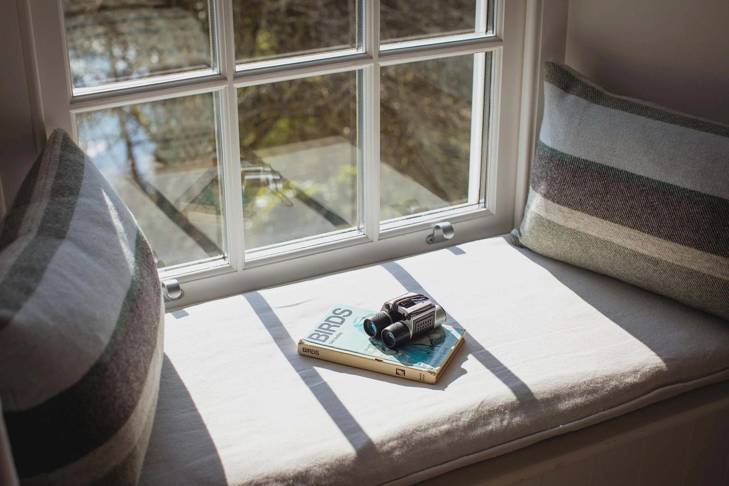 Wildlife at Hen Ffermdy Escape to Pembrokeshire B&B