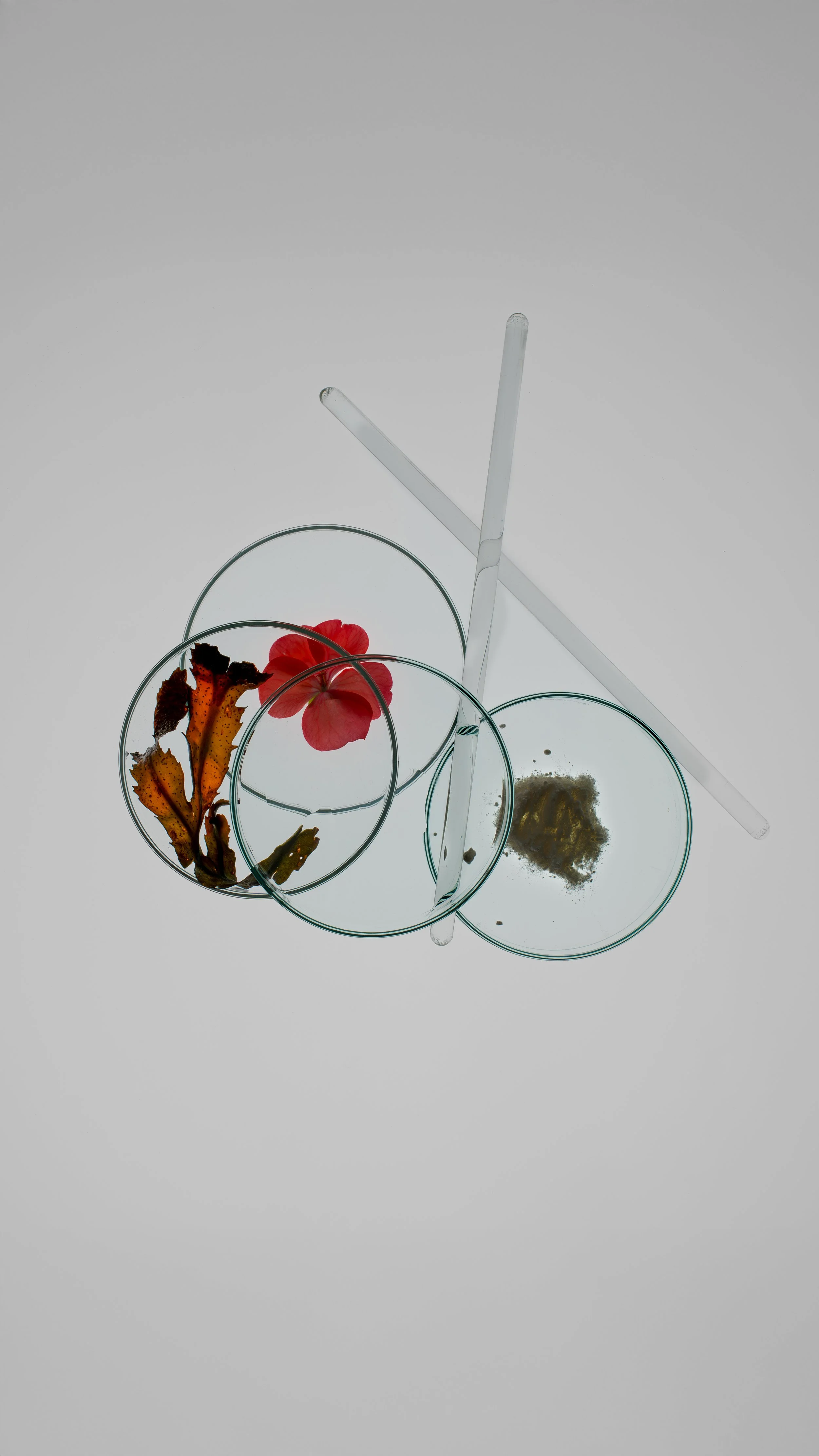 APS_25_00064-Edit.jpg