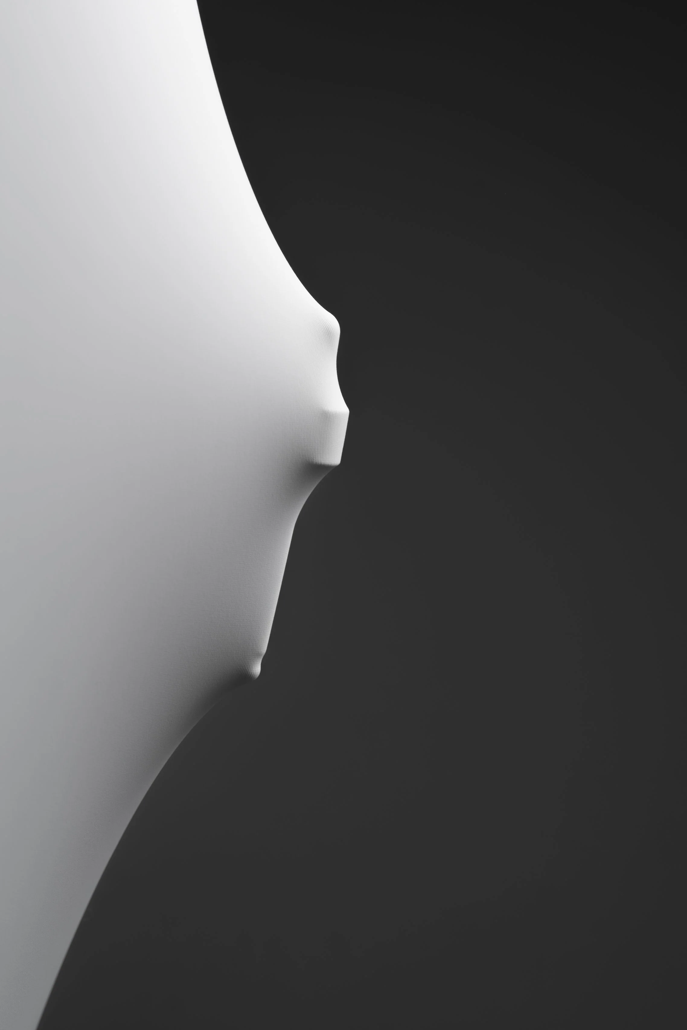 APS_25_CONCEPTUAL3.jpg