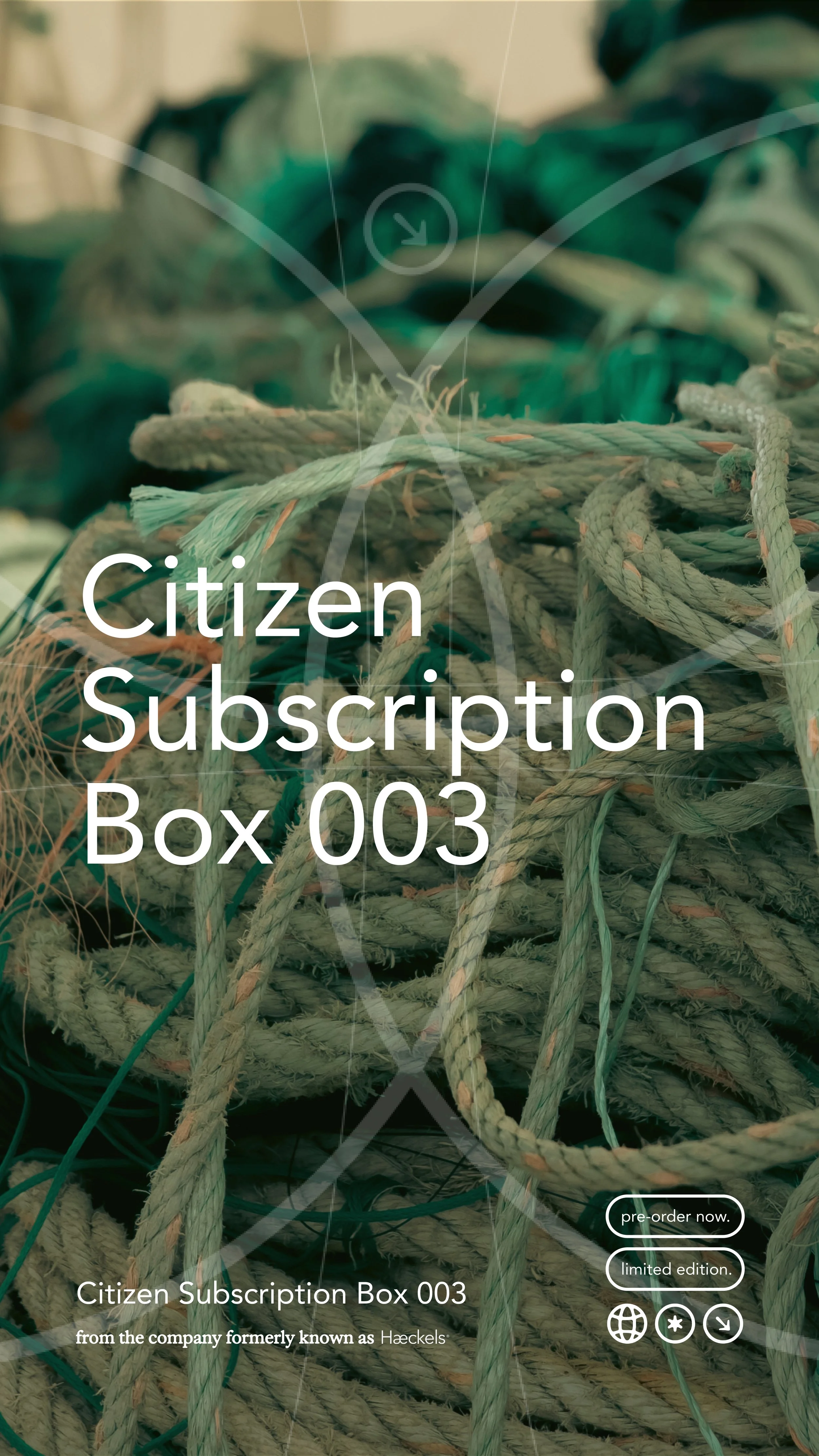 Sub Box Teaser 9x16-01.jpg