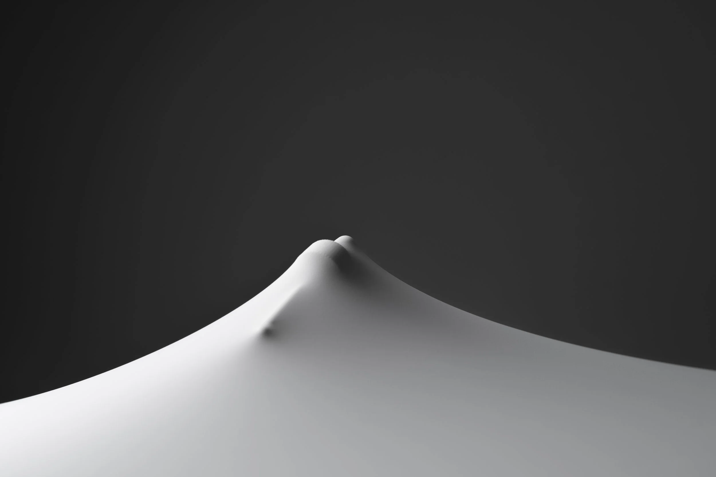 APS_25_CONCEPTUAL4.jpg