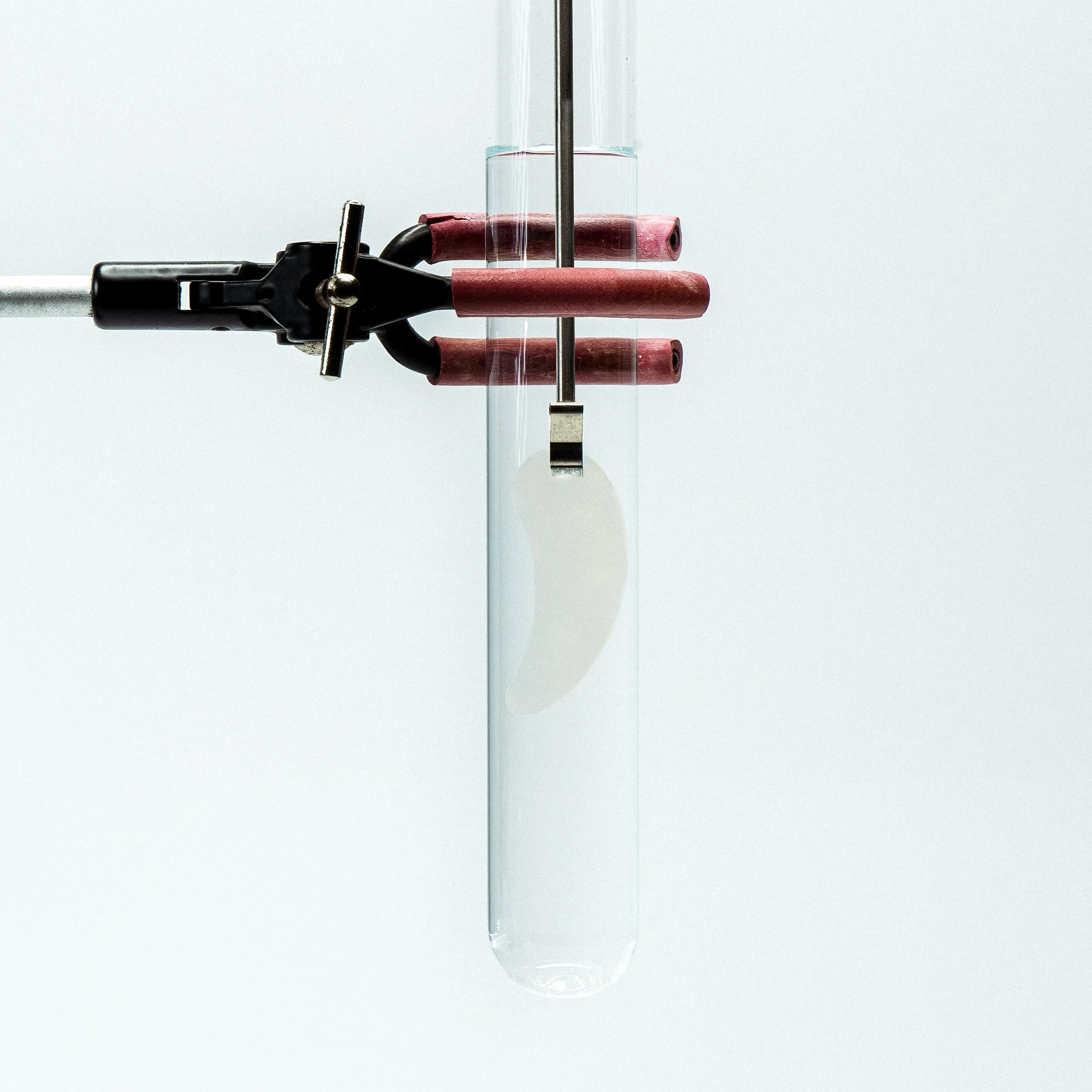 biorestore00203.jpg