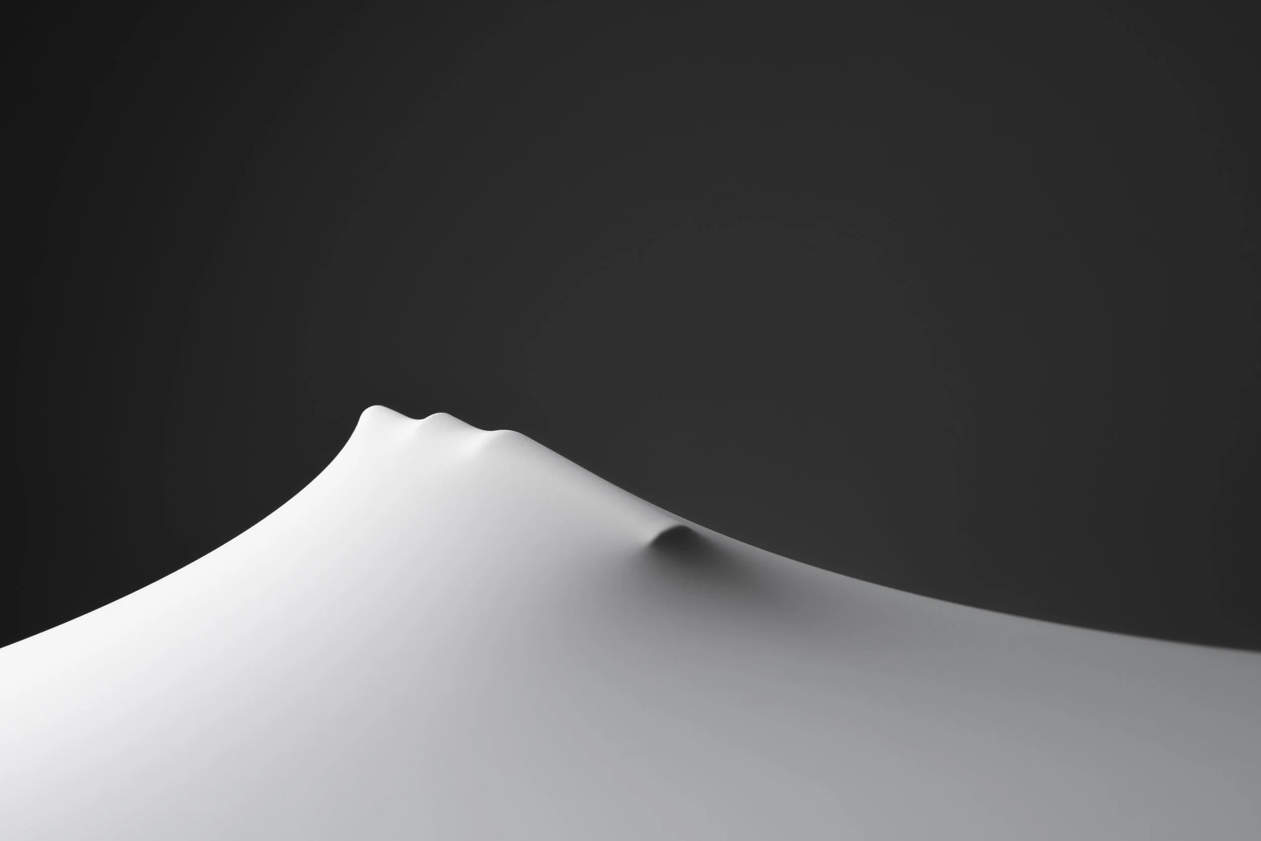 APS_25_CONCEPTUAL2.jpg