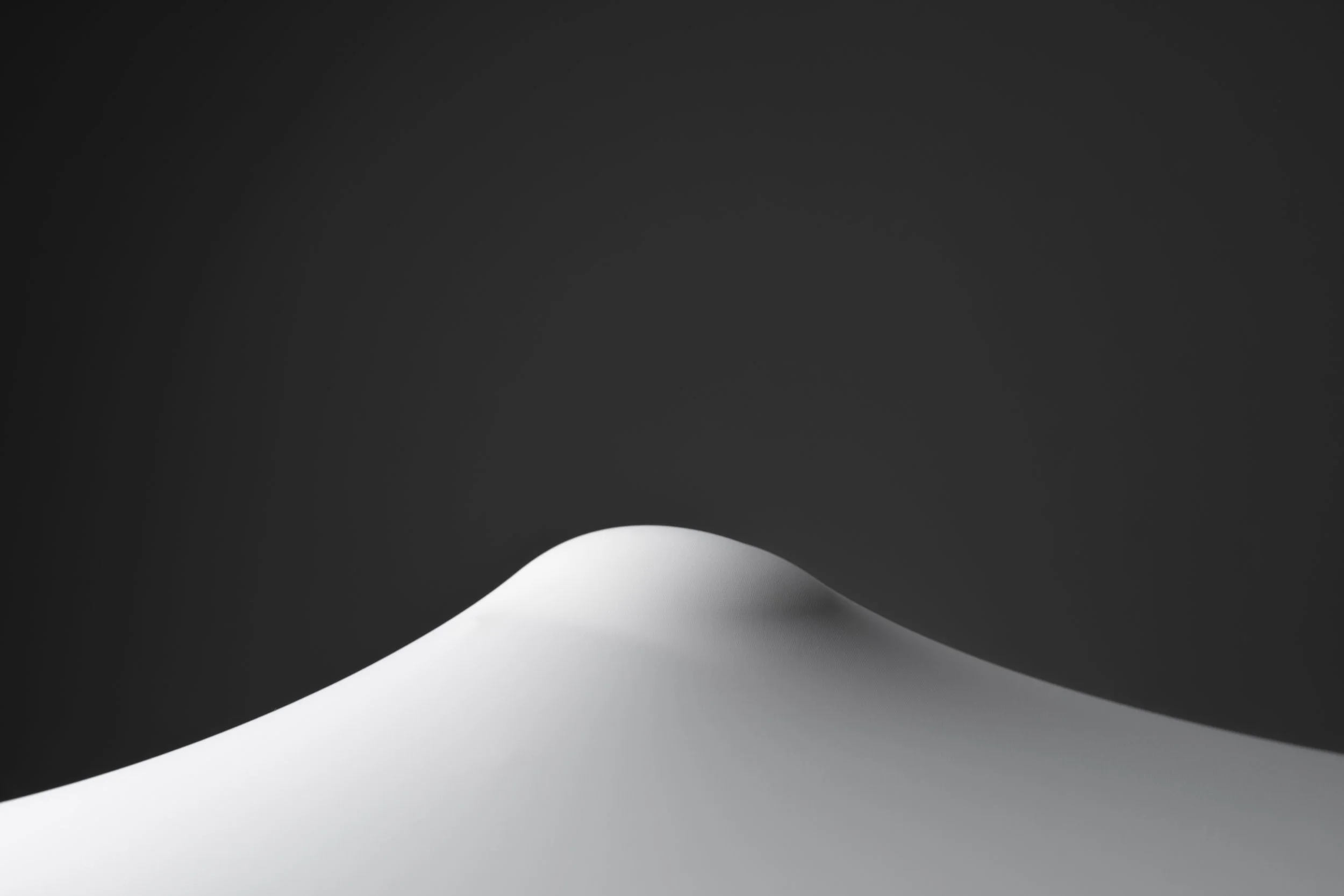 APS_25_CONCEPTUAL9.jpg