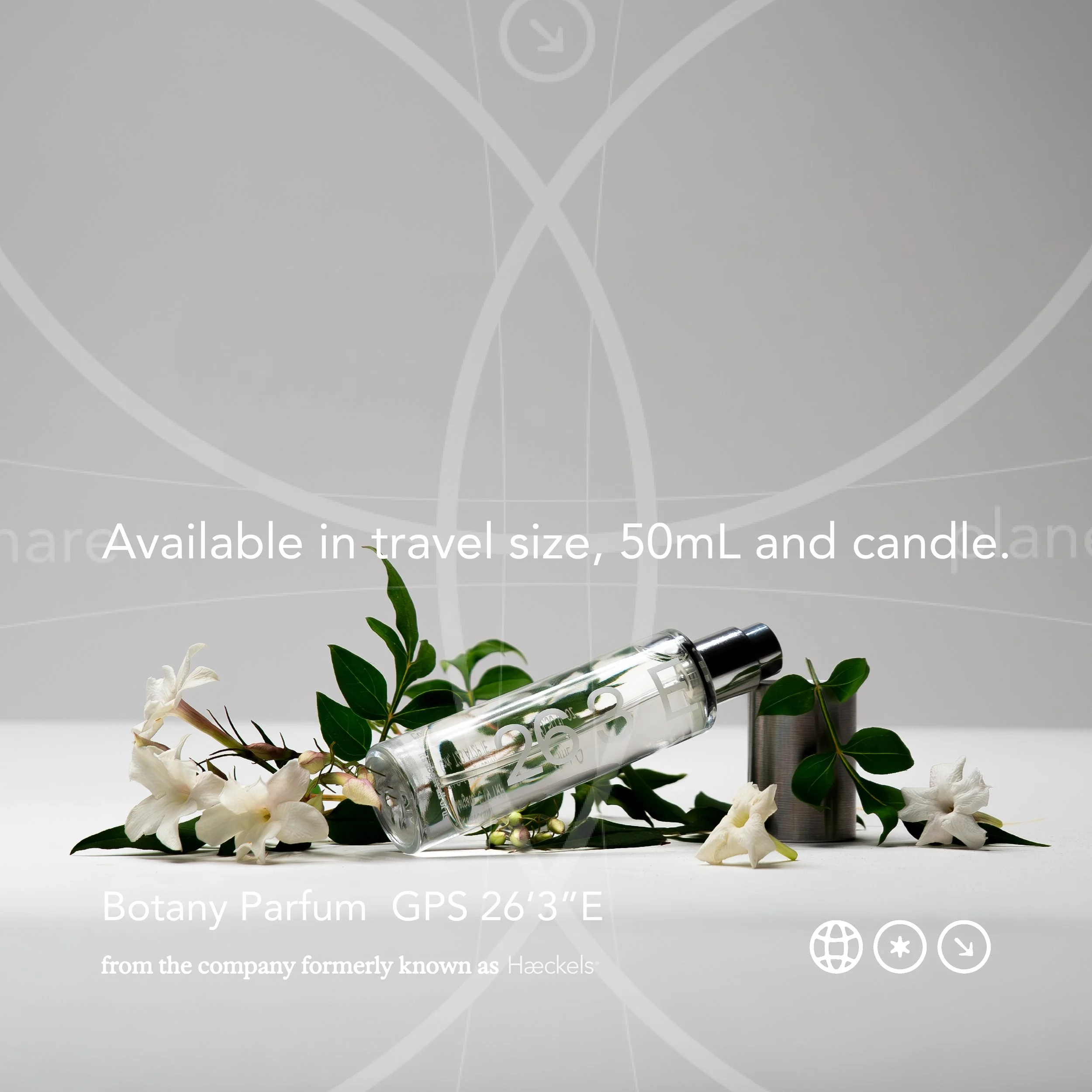 BOTANY ADS_1x1 4.jpg