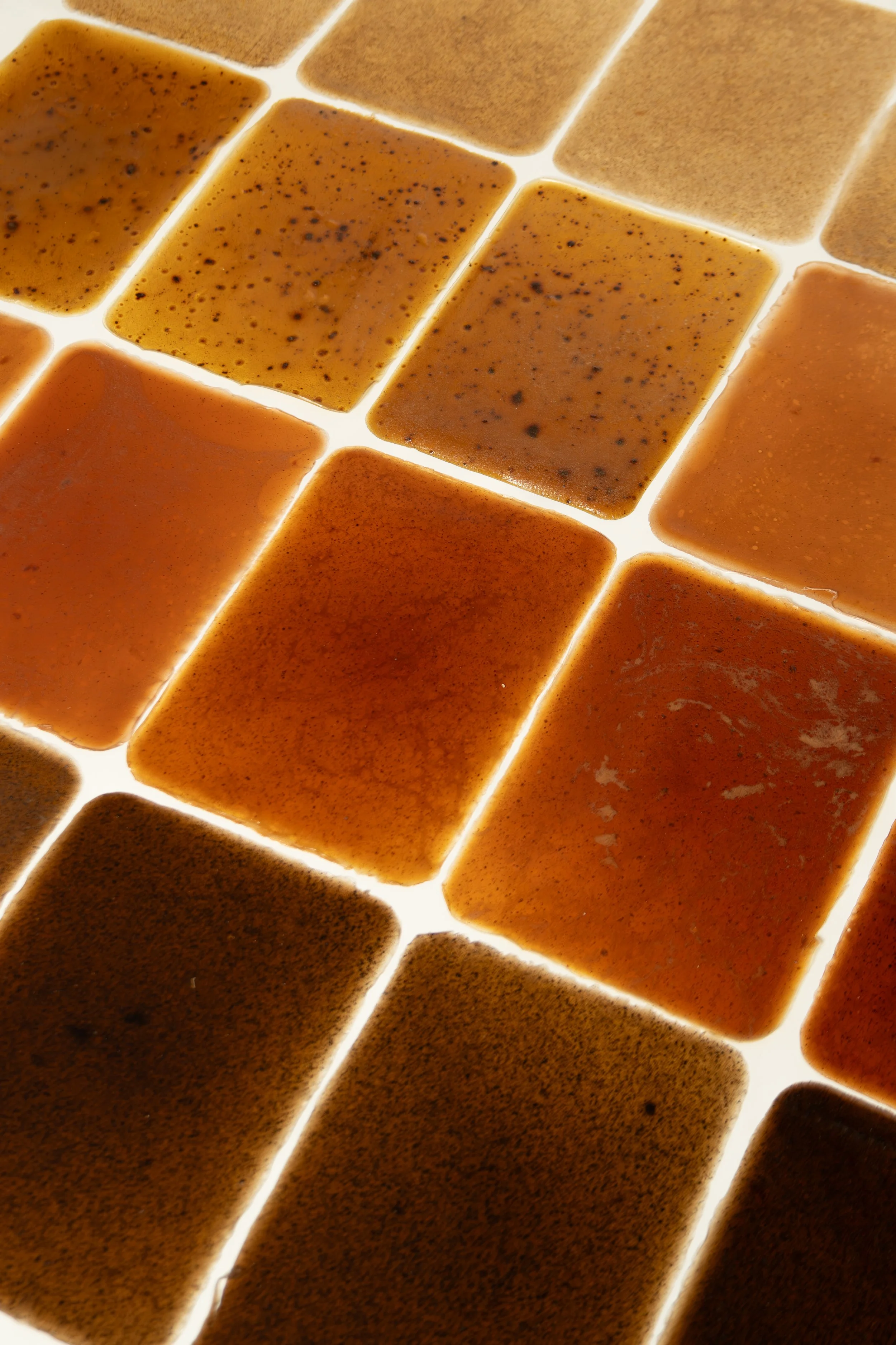 solarseaweedprotect_SPF_everydayeveryskin10.jpg