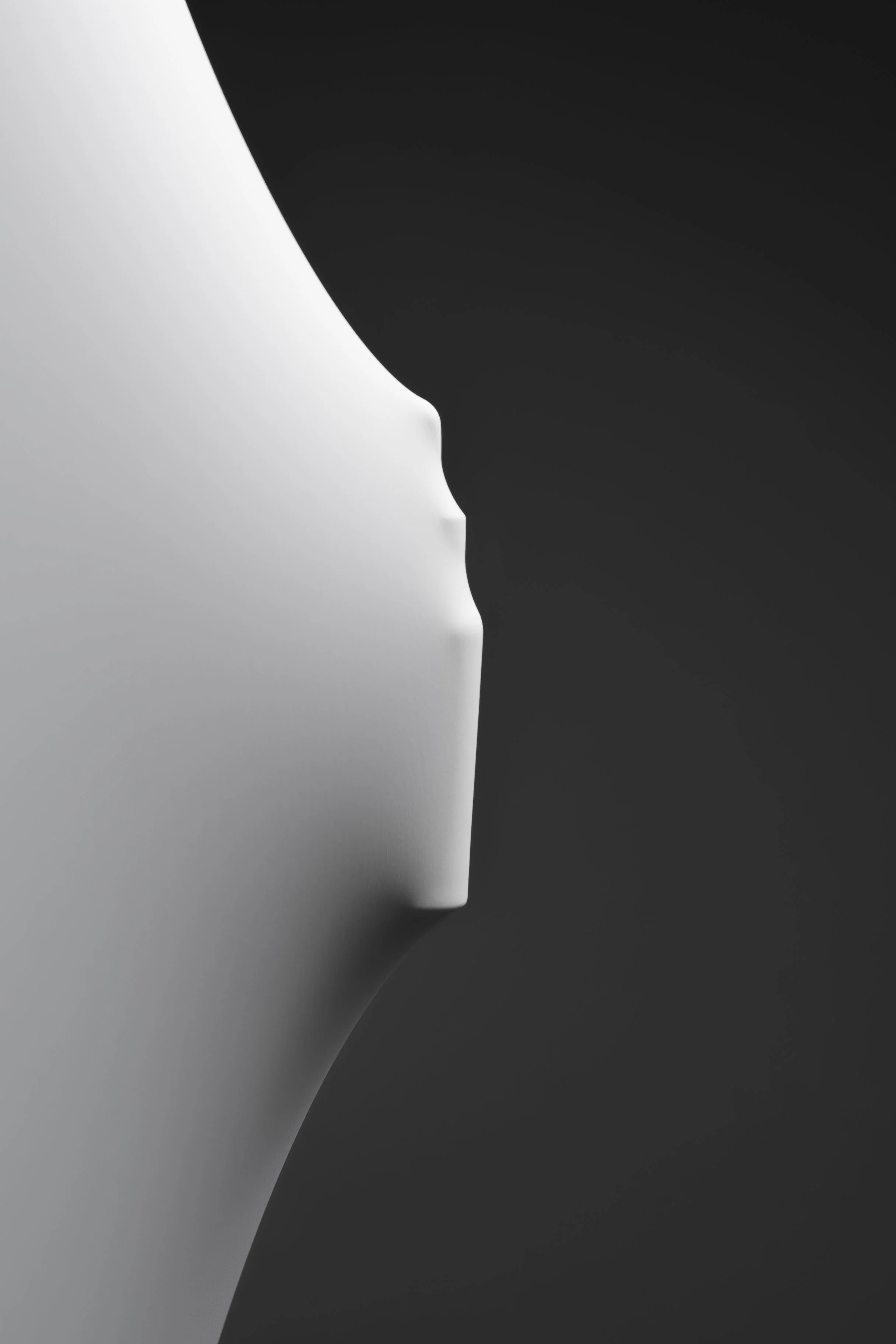 APS_25_CONCEPTUAL1.jpg