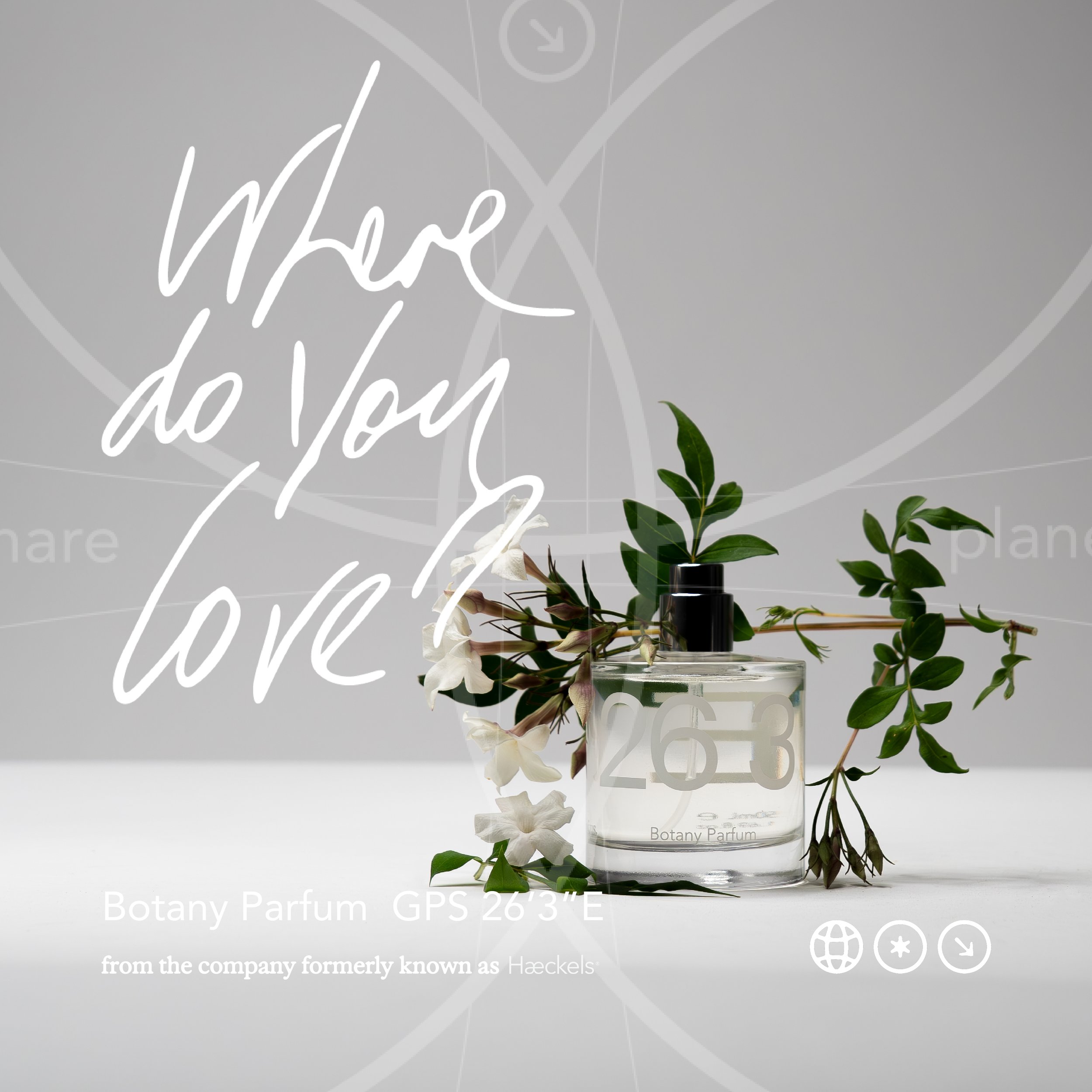 BOTANY ADS_1x1 1.jpg