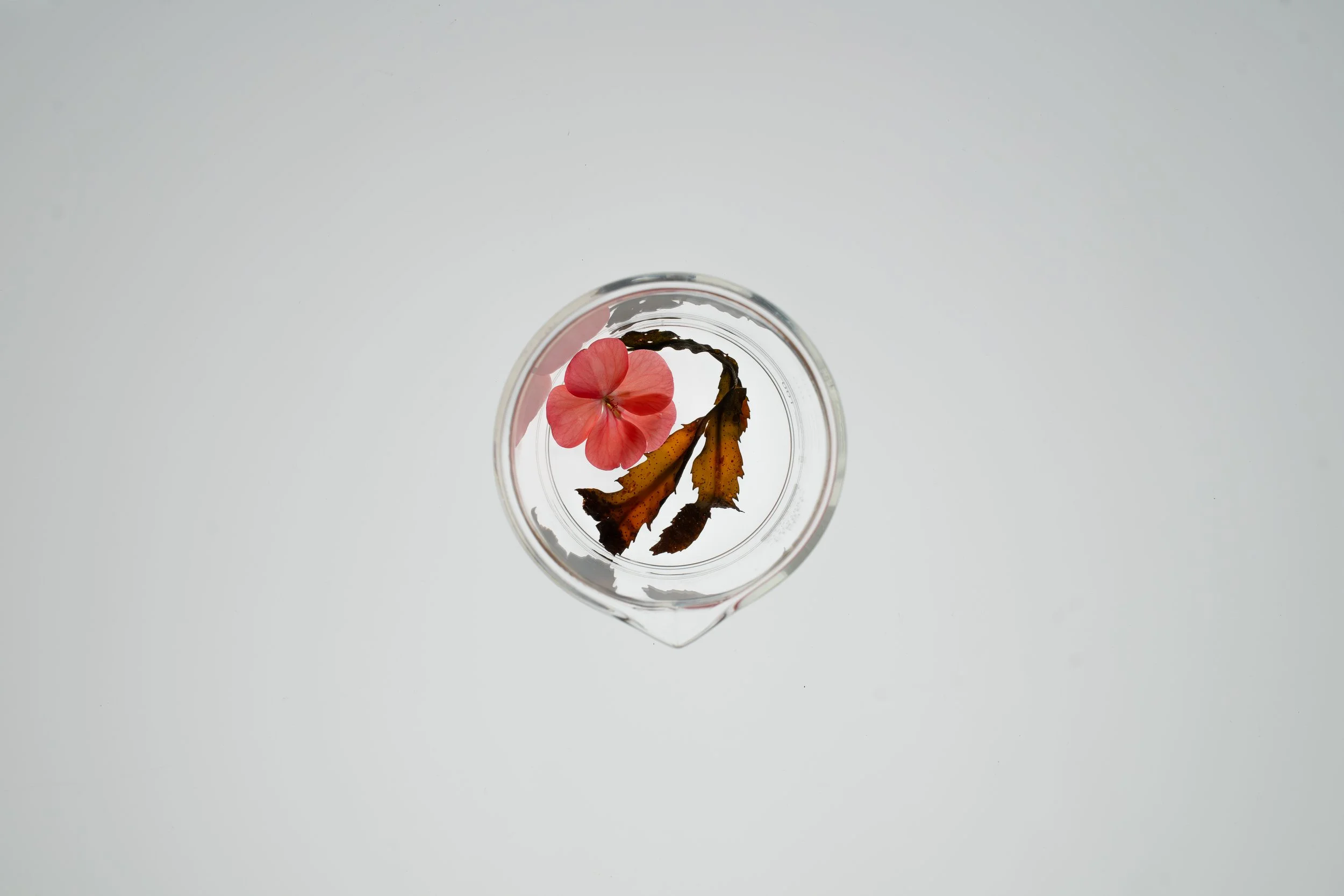 APS_25_00083.jpg