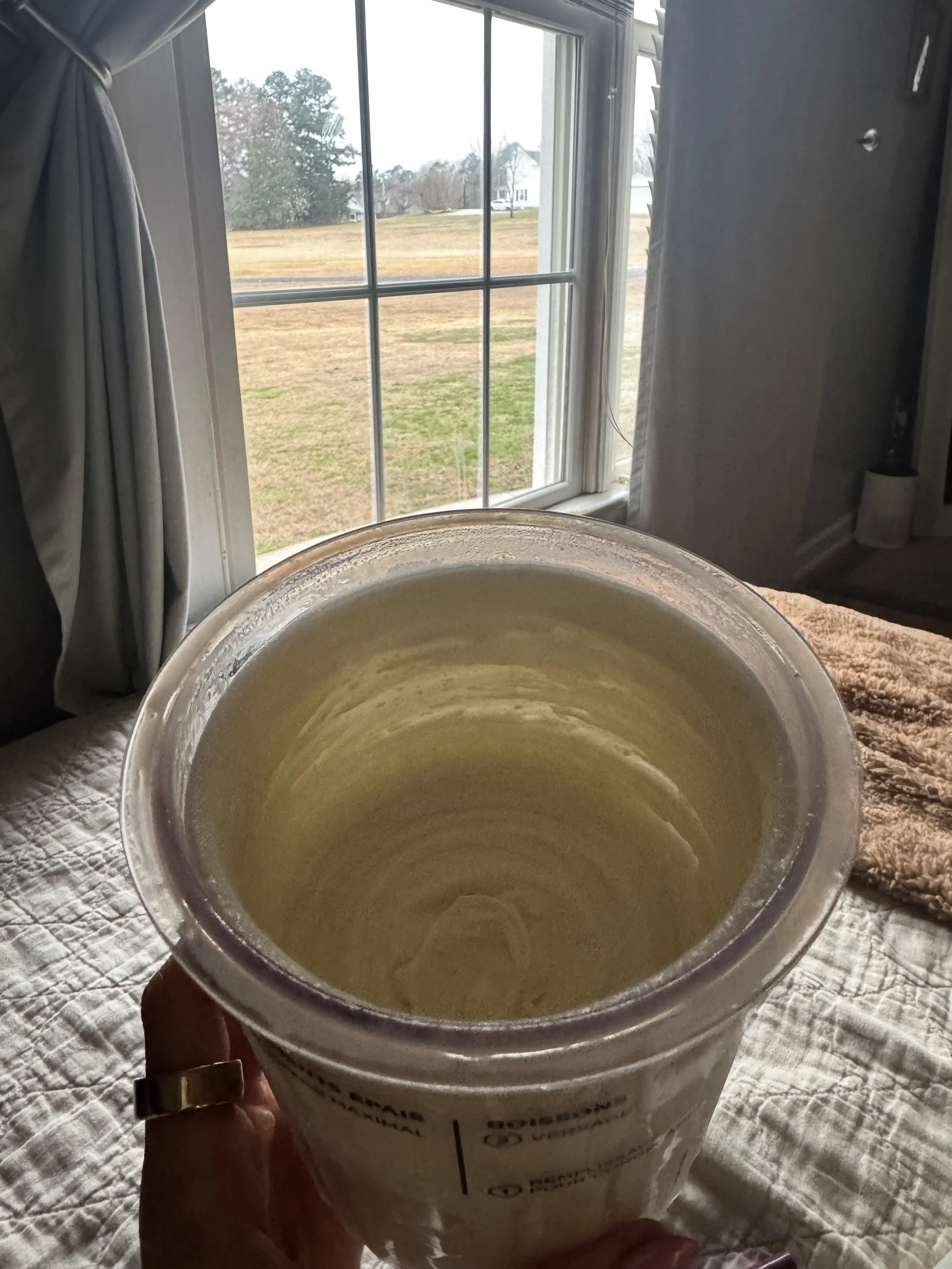 Simple Protein Ice Cream Recipe