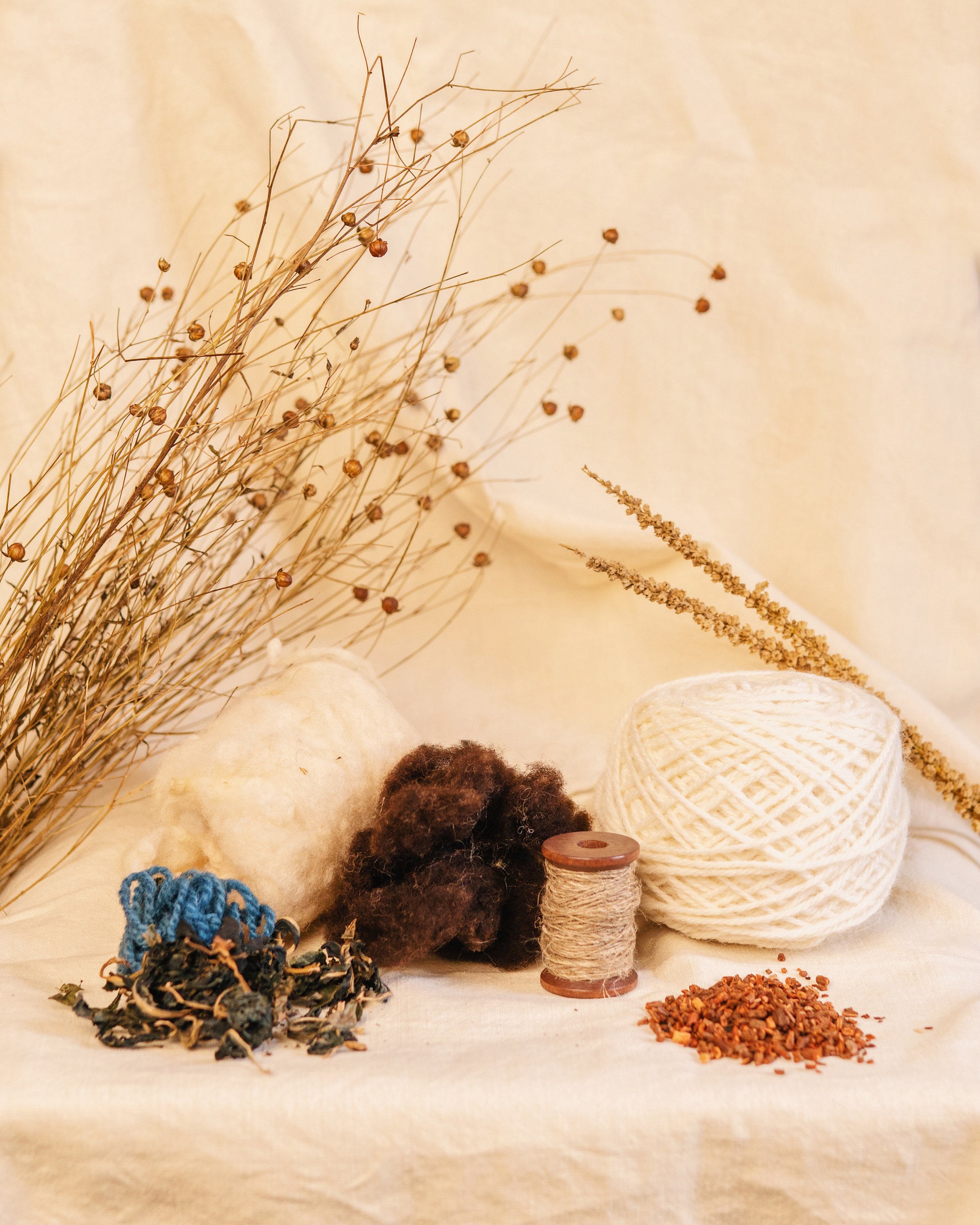 Homegrown: a day of Irish fibres