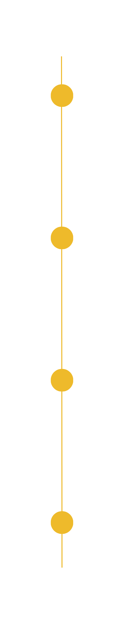 A vertical timeline with four gold circles connected by a thin gold line on a black background.