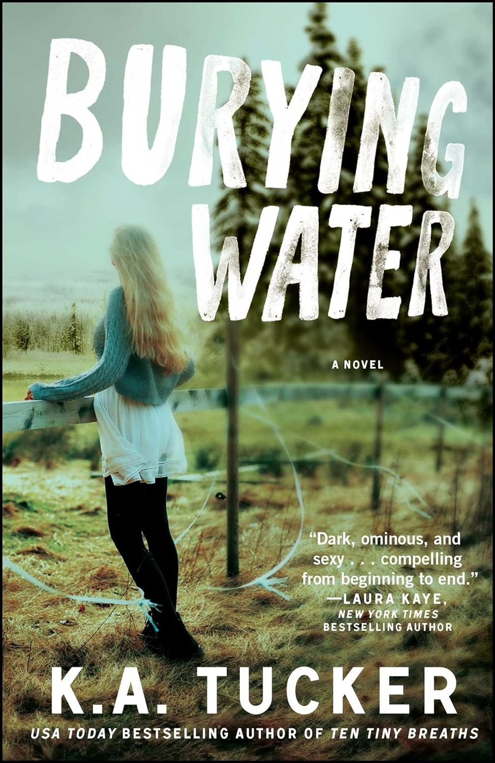 Burying Water Cover.png