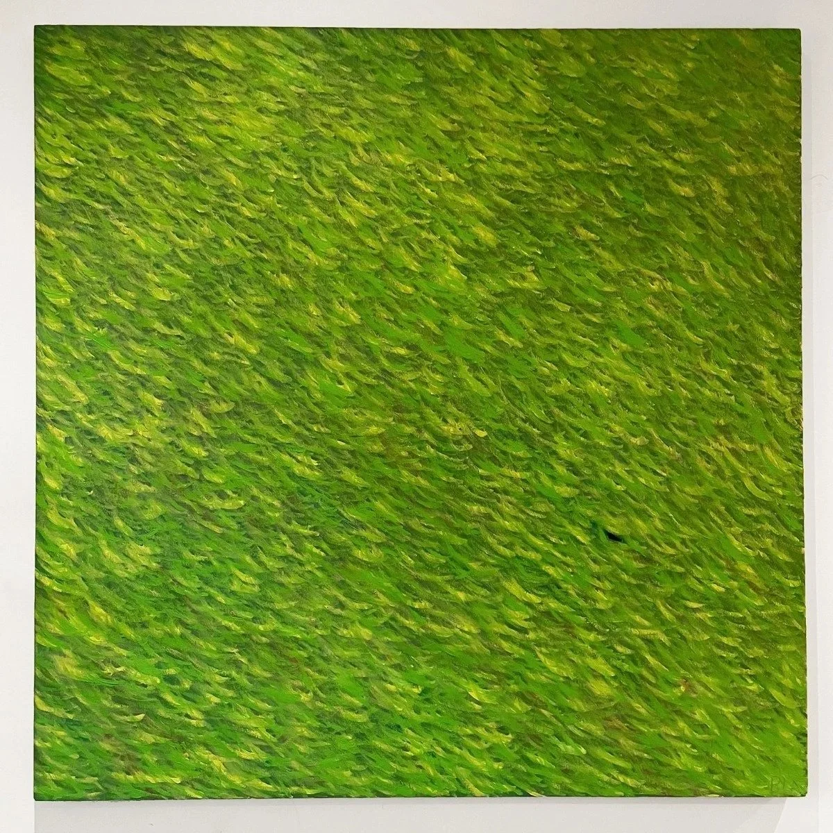 Uncle+Ians+Grass.jpg