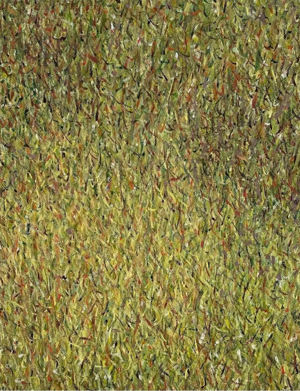 Tessa's Field
