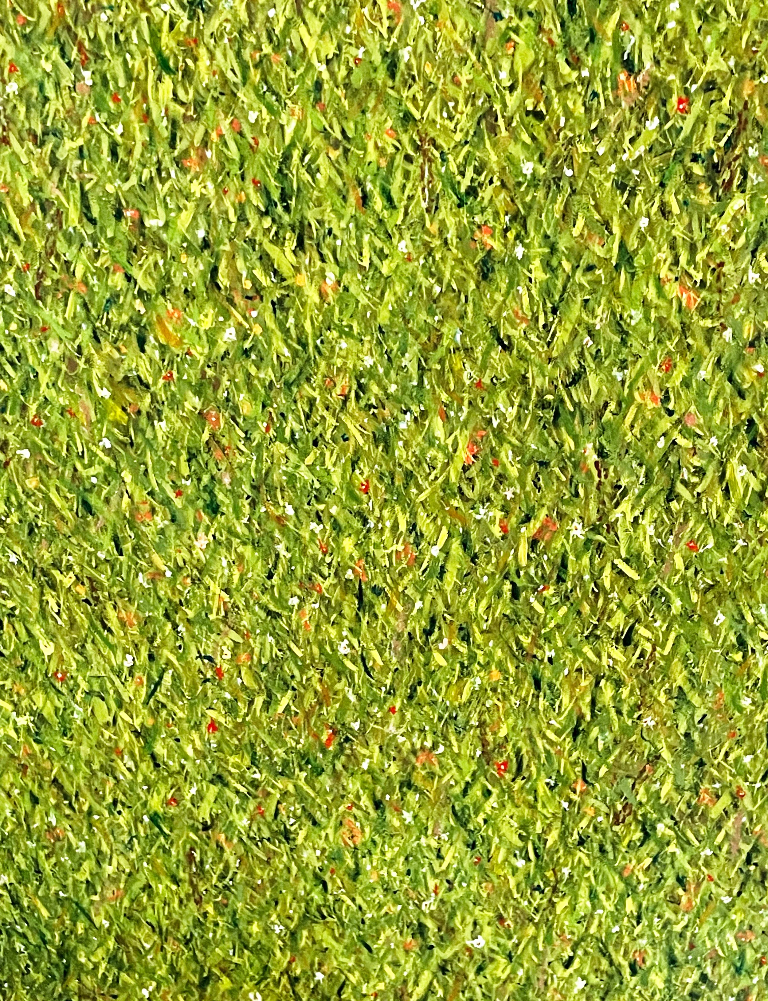 Damien's Field