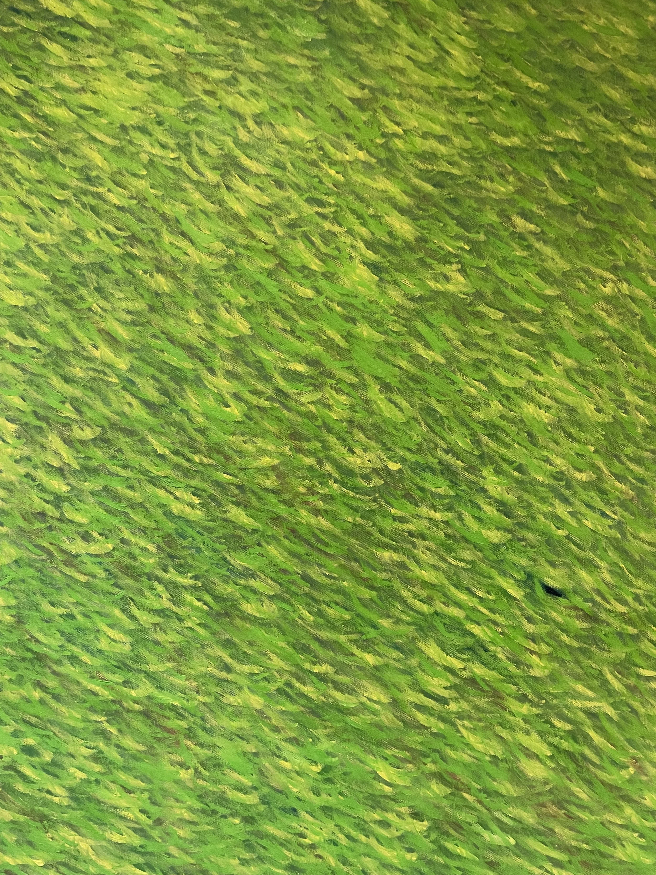 Uncle Ian's Grass