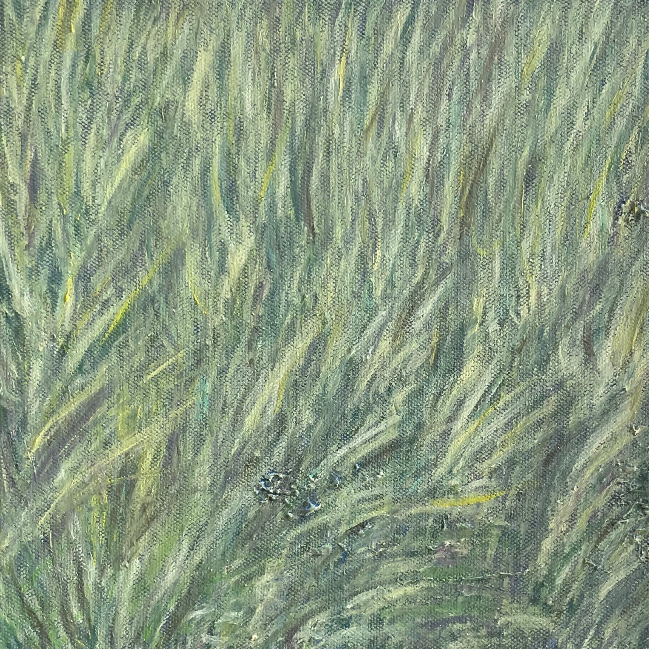 Aramoana