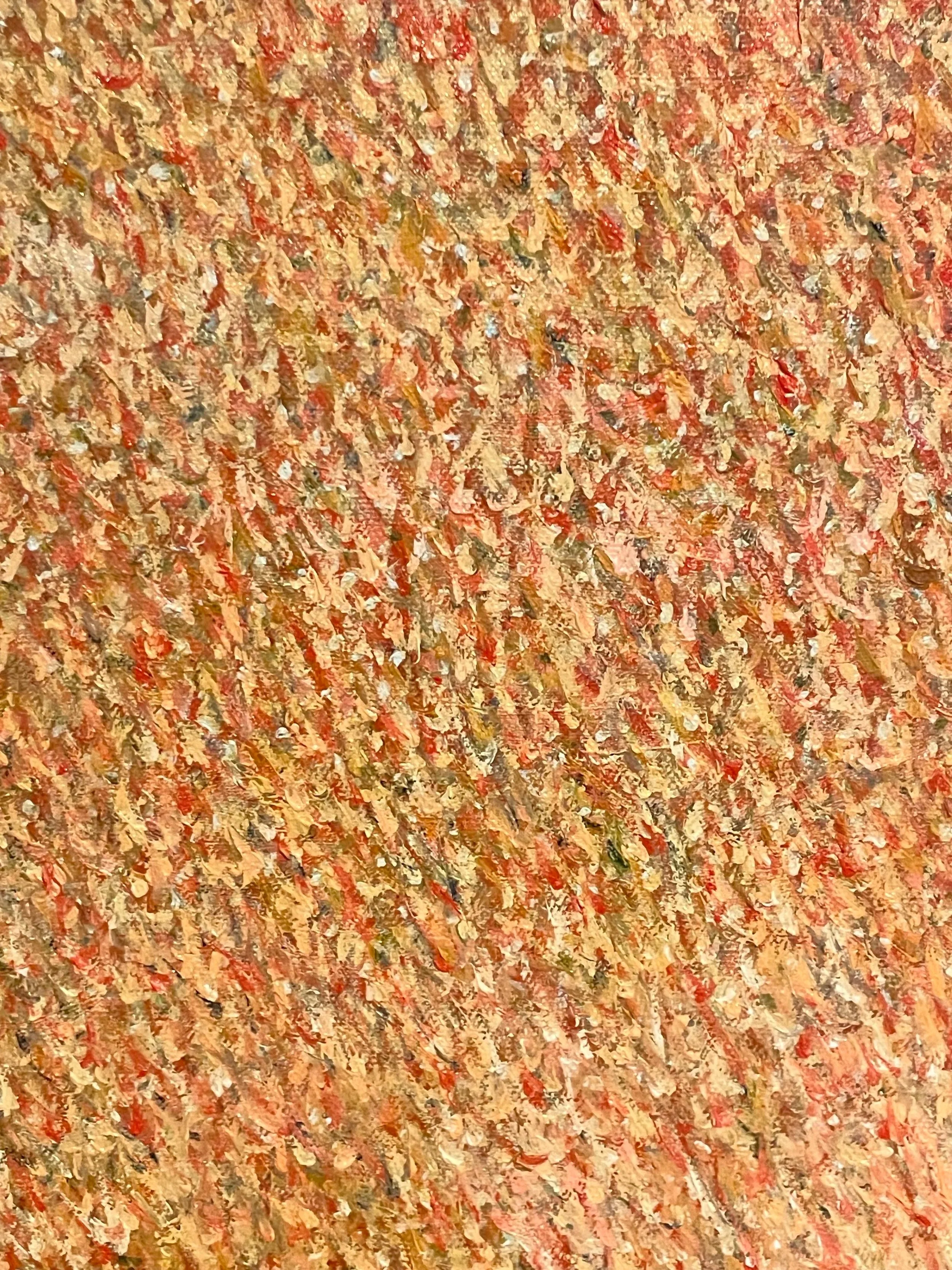 Sunset Field