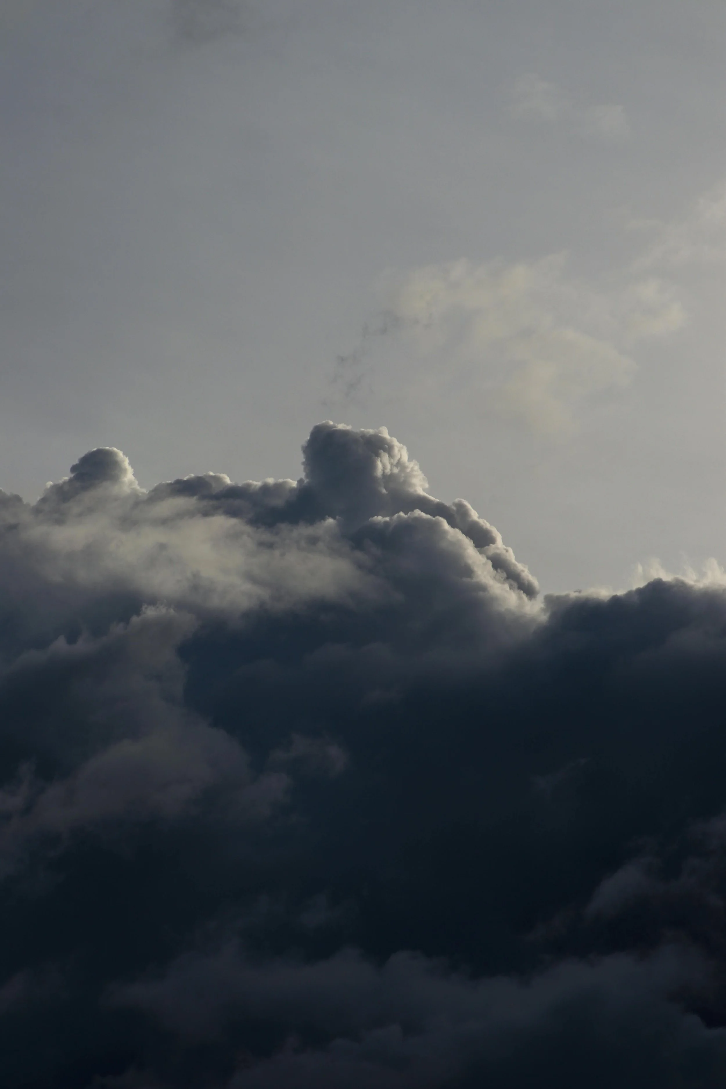 "In the Cloud Everyone is Beautiful" — published by Rue Scribe