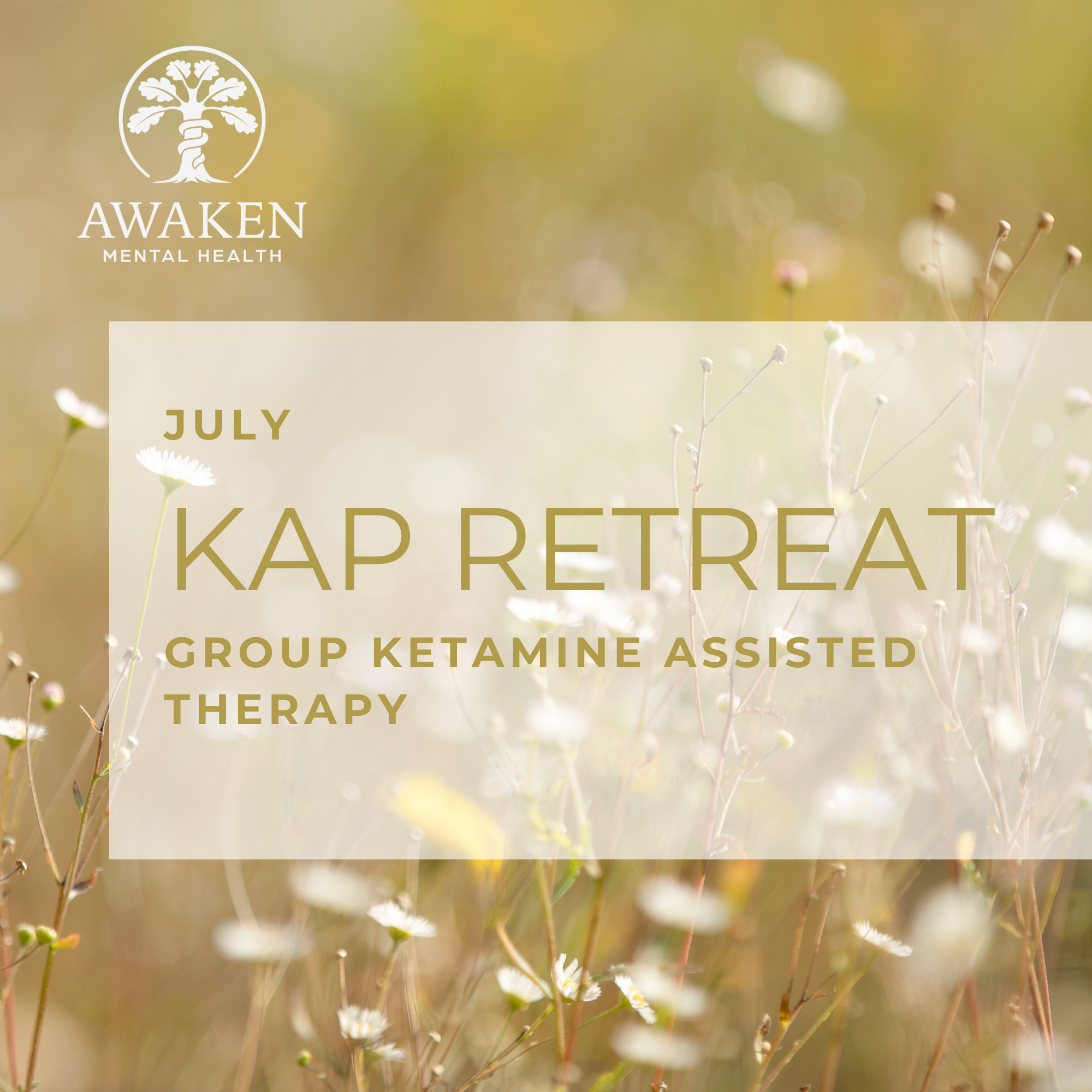 Ketamine Assisted Psychotherapy Group Retreat: Introduction and Preparation (Zoom)
