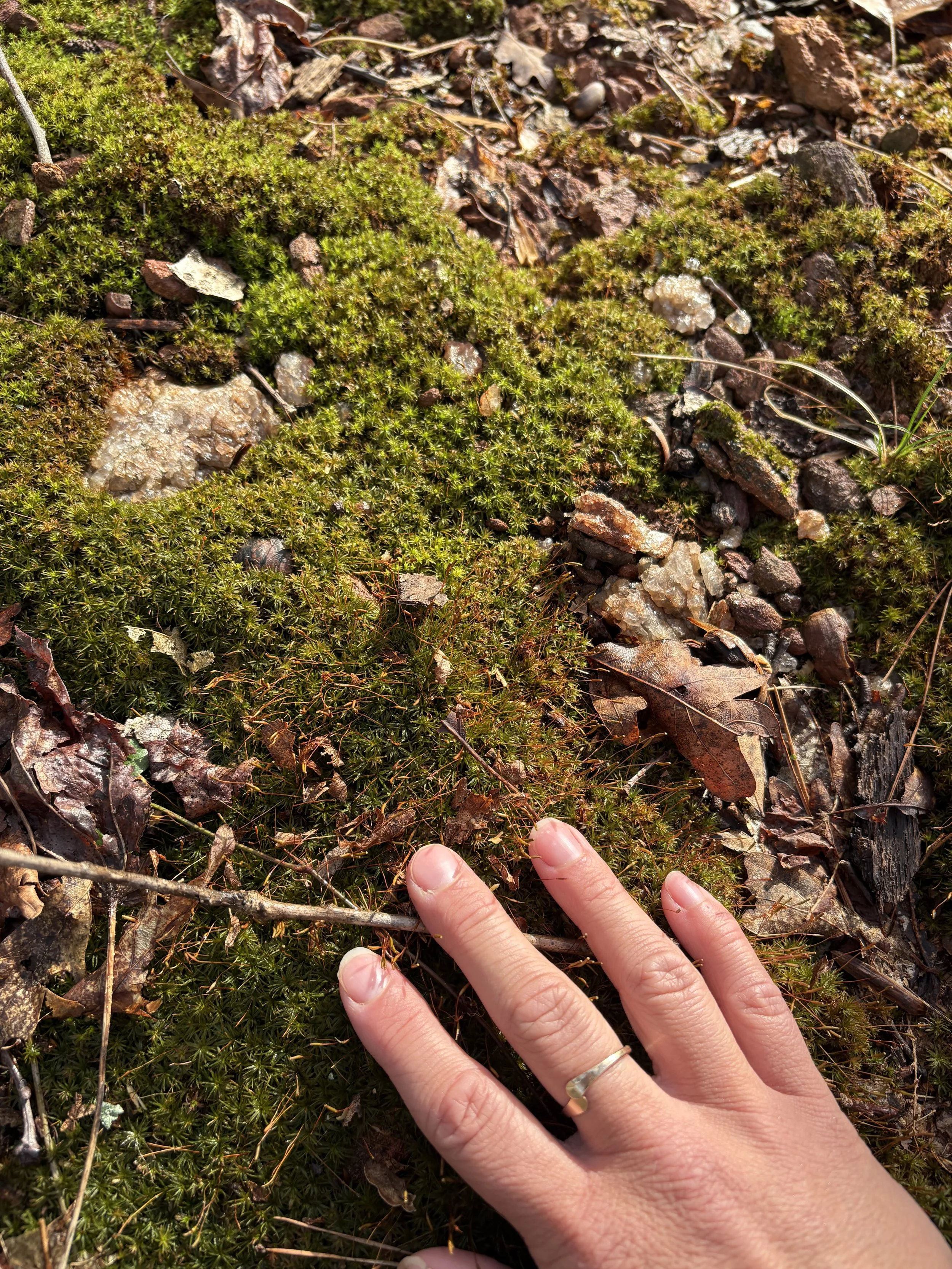 A person's hand with a gold ring on the ring finger resting on mossy ground with scattered leaves and small rocks.