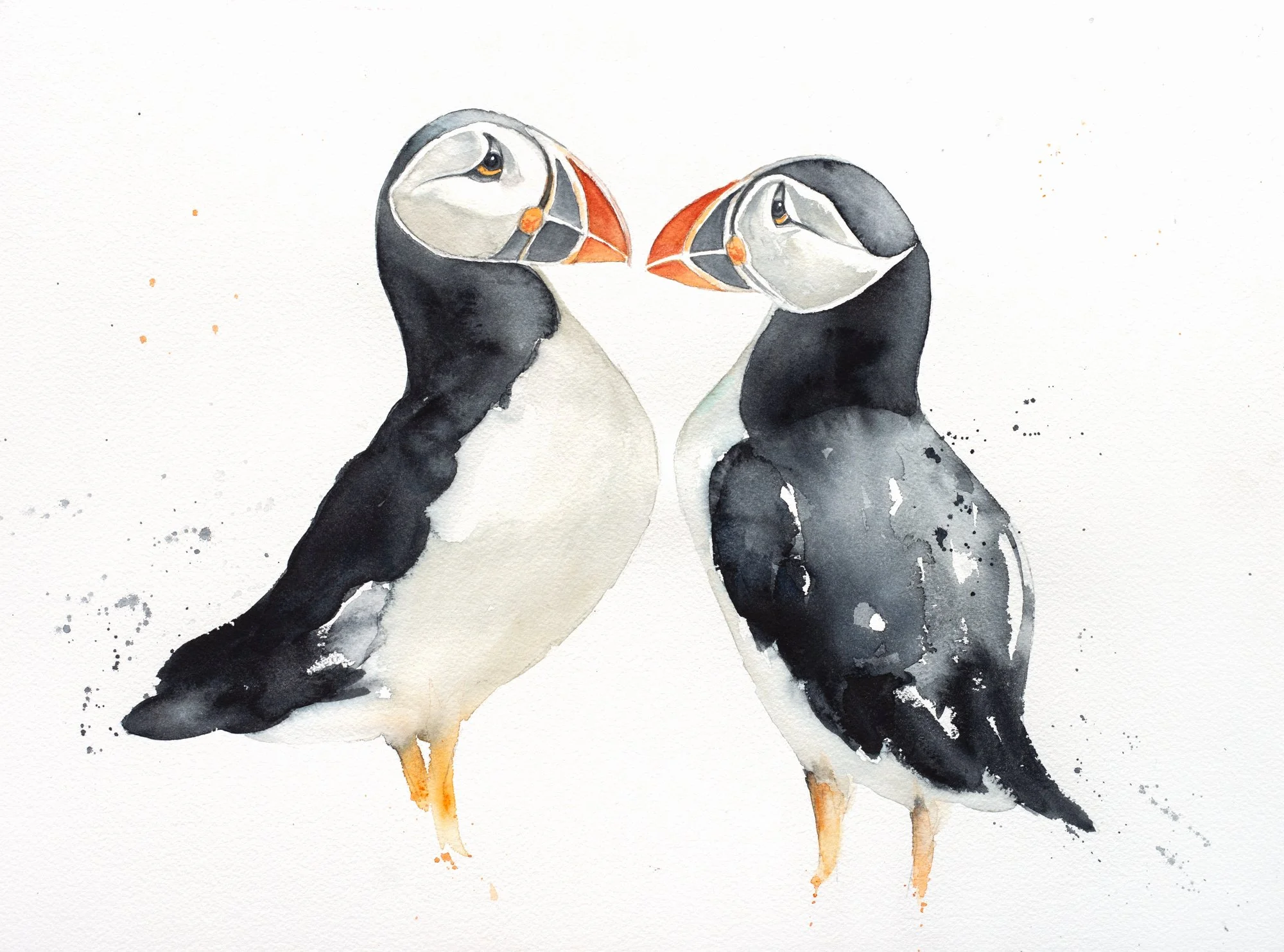 Watercolour painting of two puffins by Scottish Artist Liz Roberts