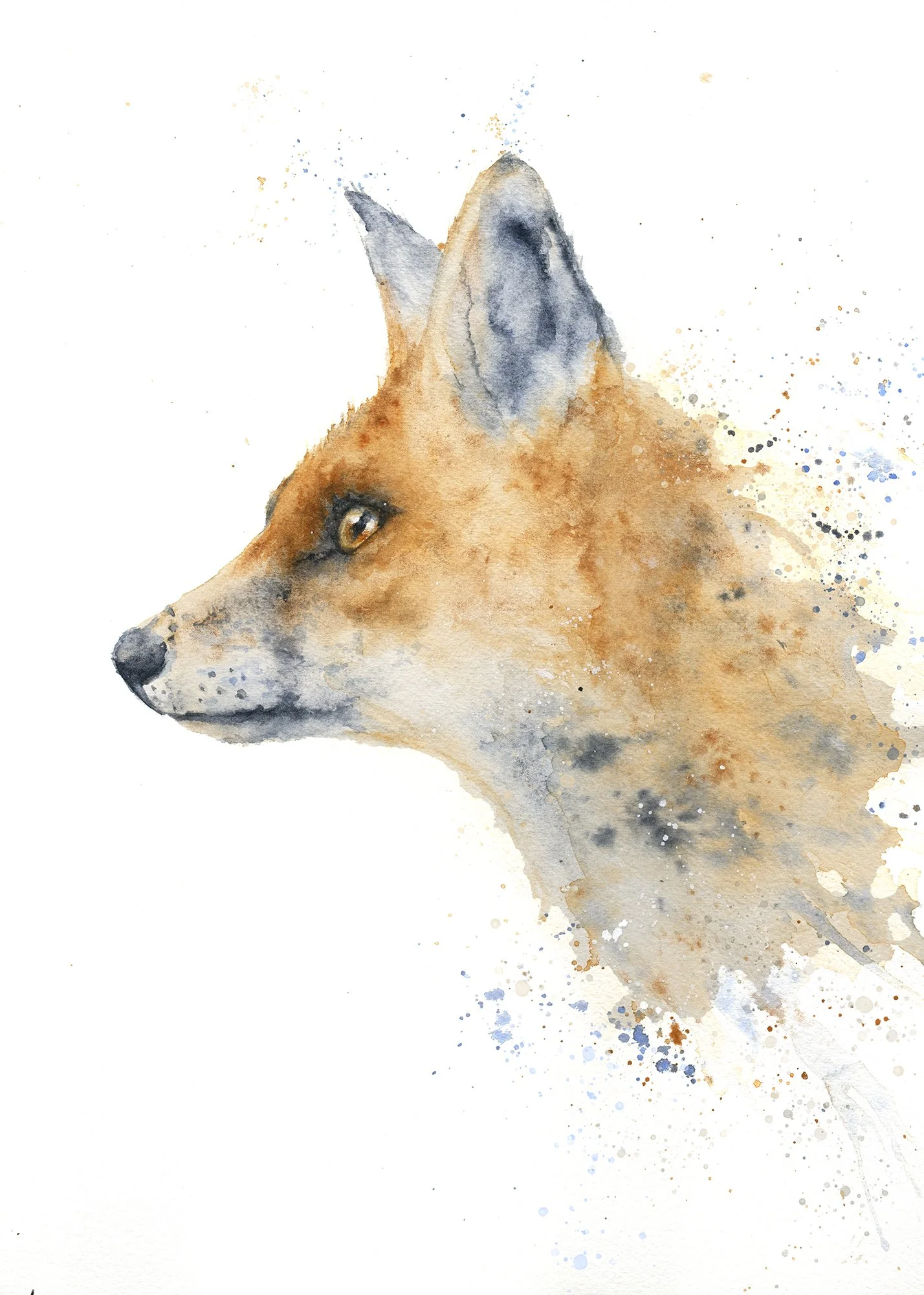 Fox 'Fergus' giclee Print, mounted, unframed
