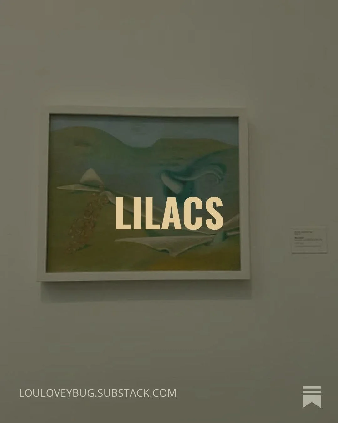 Lilacs