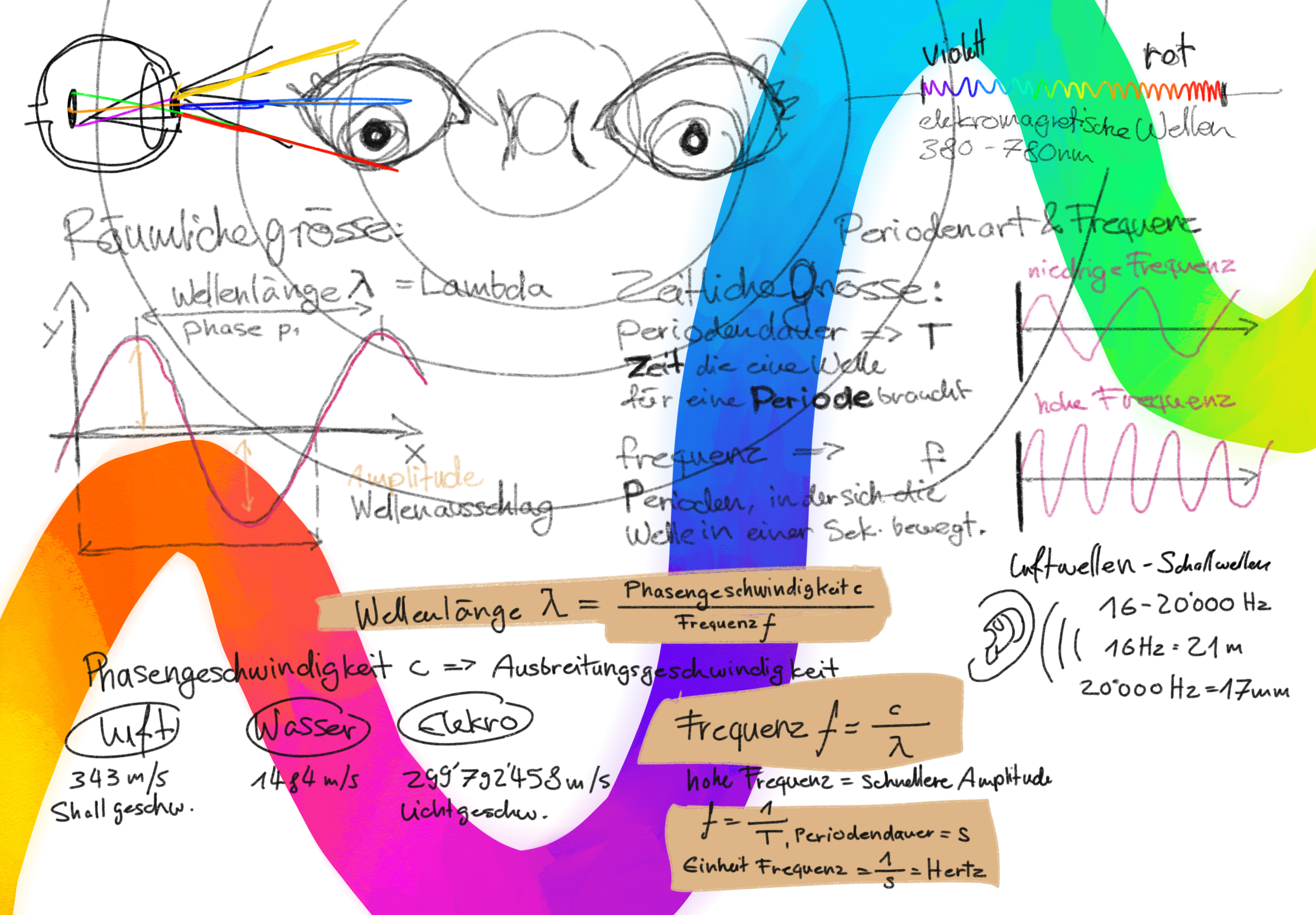 Why we see Color