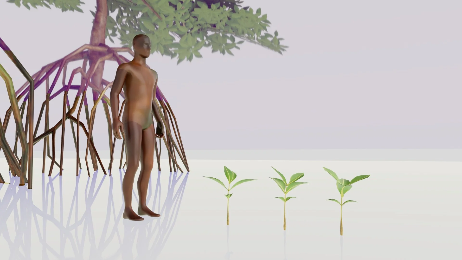 Mangroves_WIP_02.jpg