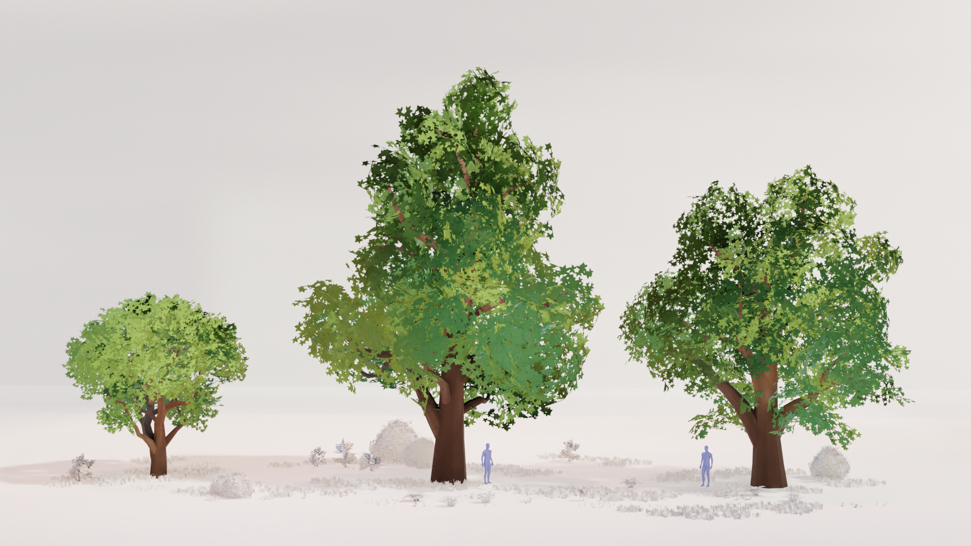 R_Trees_Maple_01.png