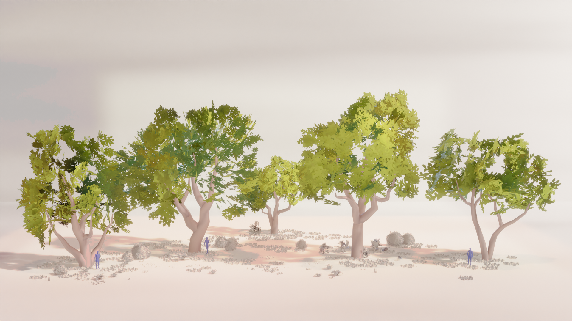 R_Trees_Mahua_03.png