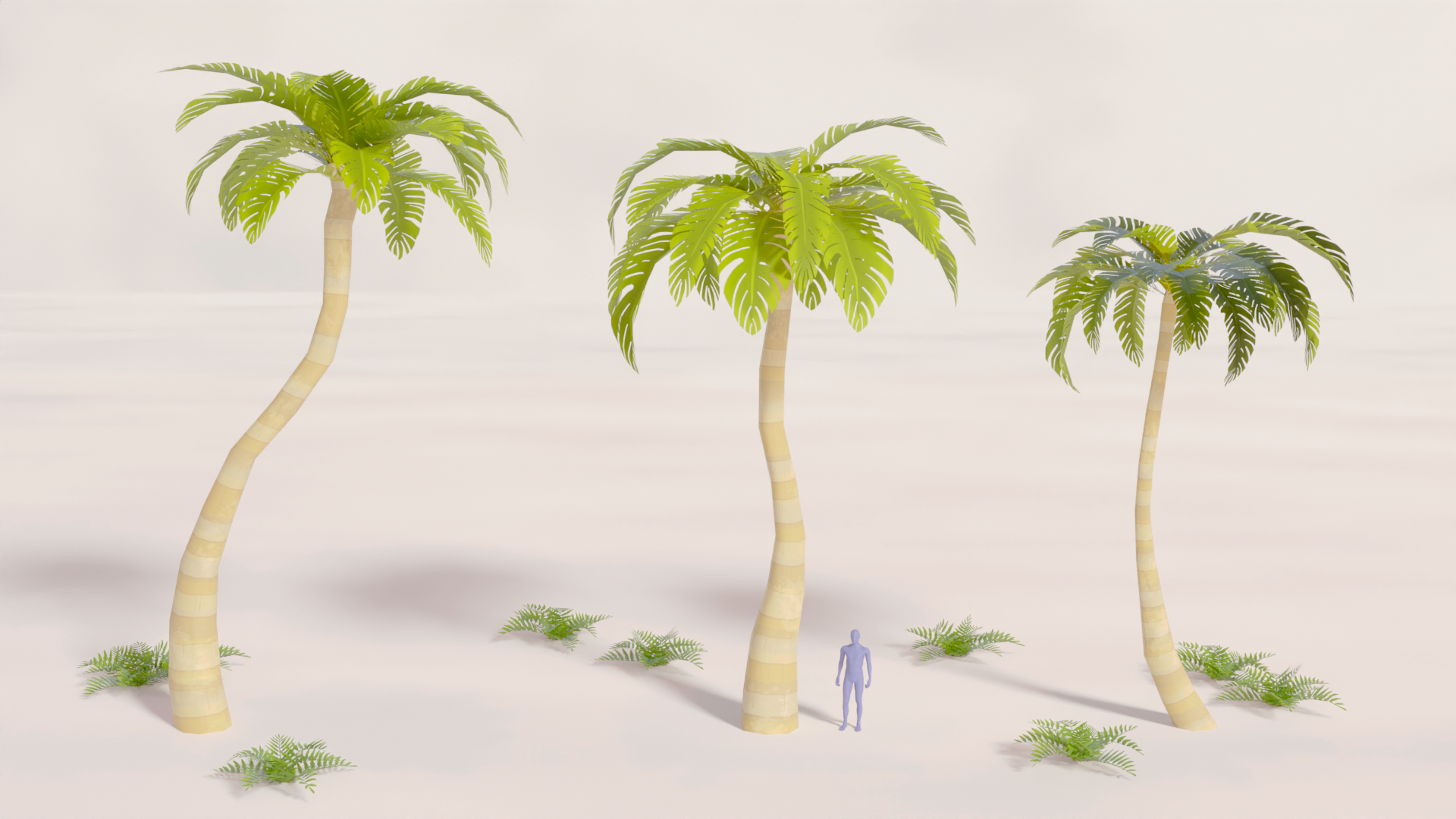 R_Trees_Palm.png