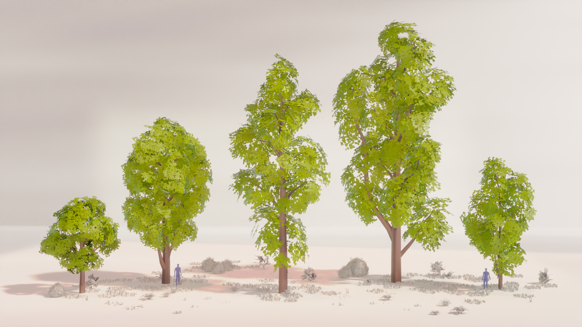 R_Trees_Sal_01.png