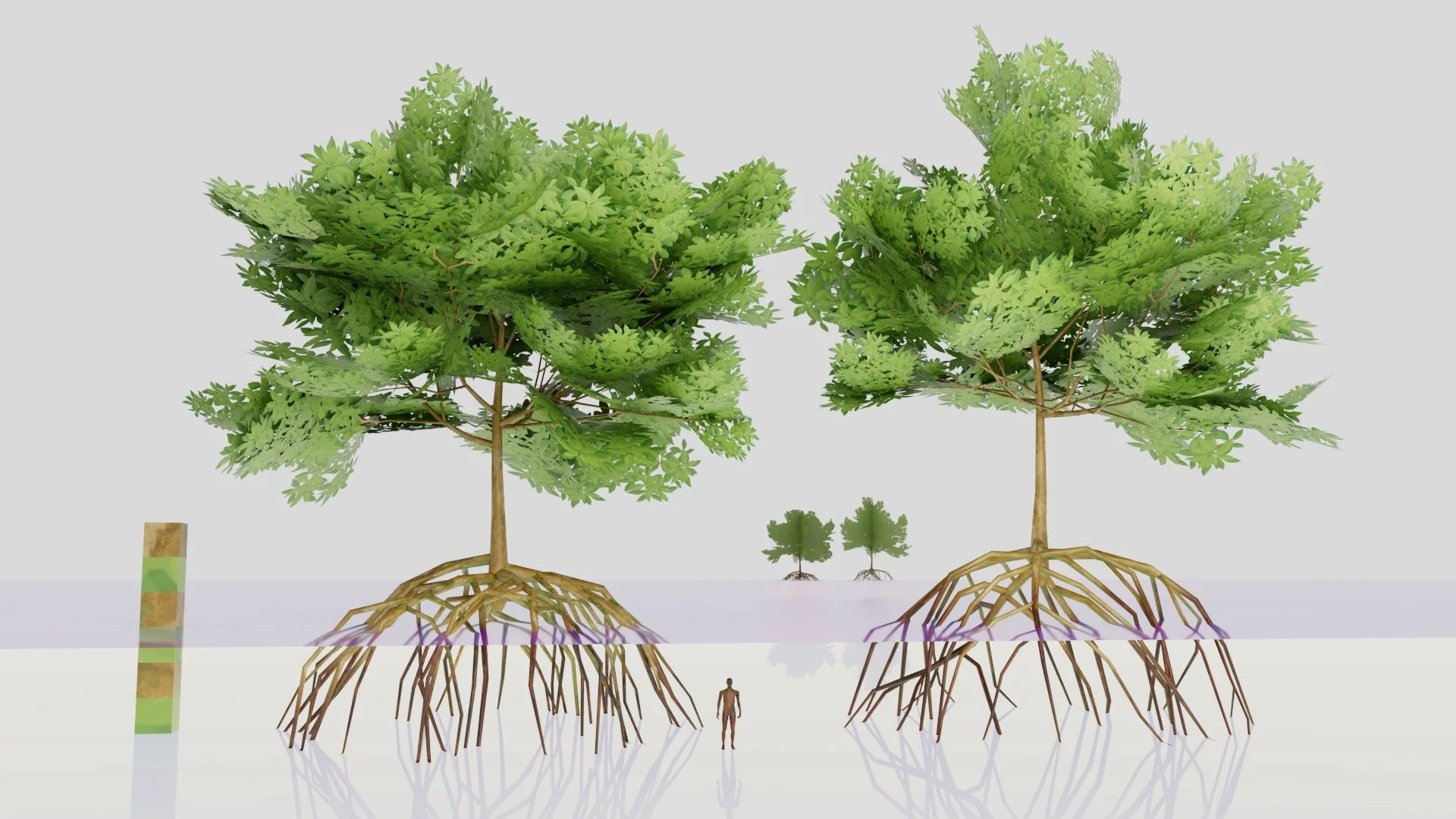 Mangroves_WIP_01.jpg